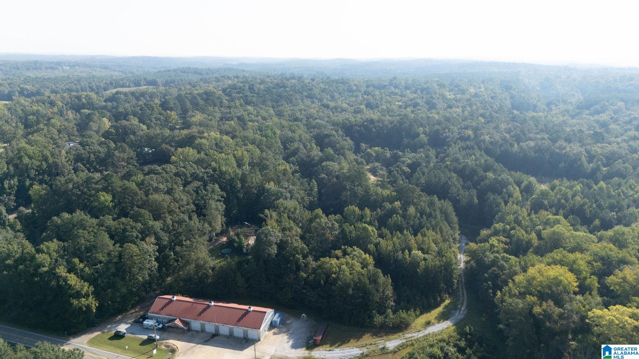 Homes for sale in Centreville, AL | 0 Magnolia Circle, Centreville, AL 35042 | MLS# 21432203