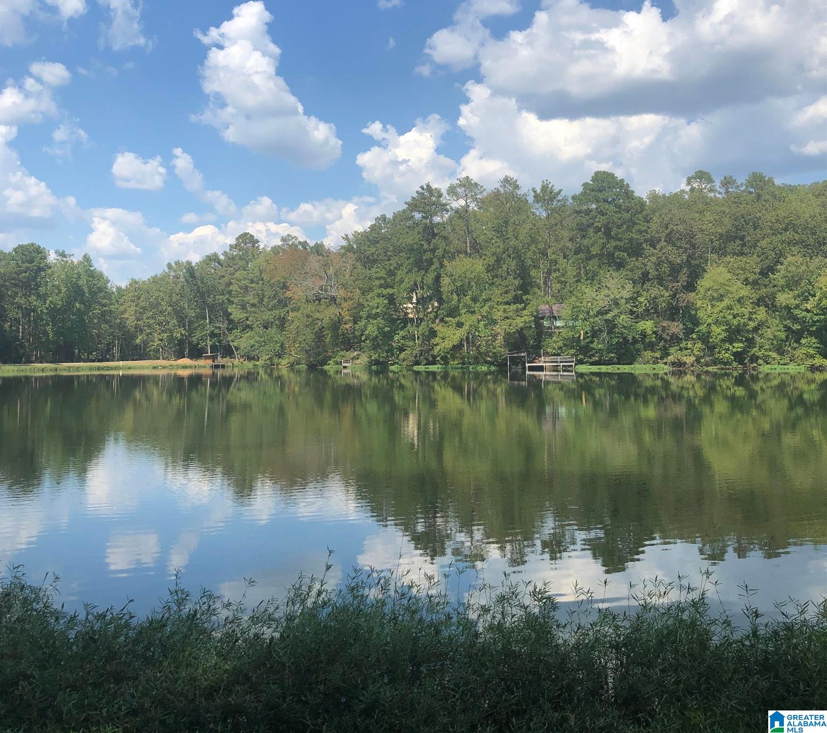 Homes for sale in Calera, AL | 01 County Road 727, Calera, AL 35040 | MLS# 21432234