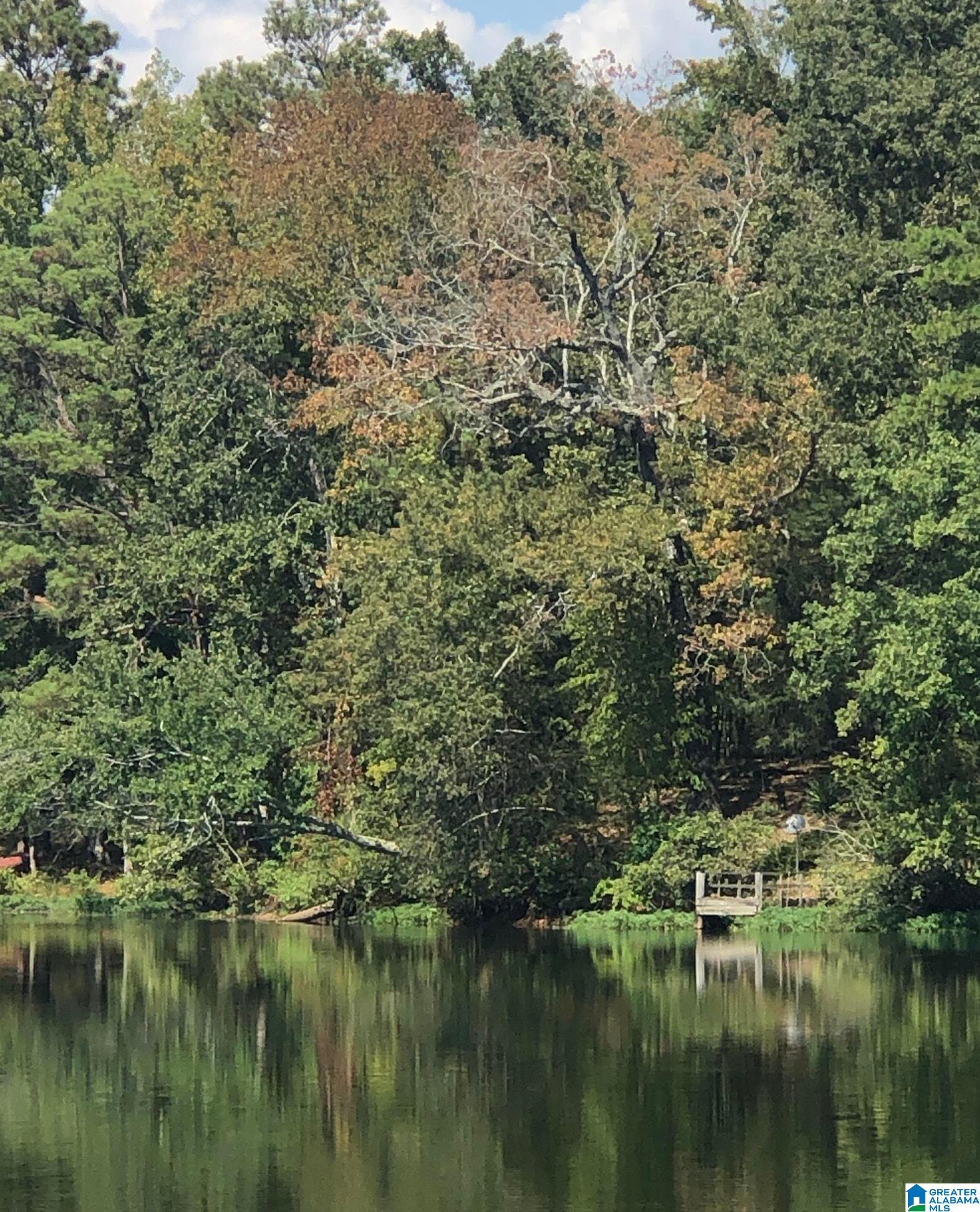 Homes for sale in Calera, AL | 01 County Road 727, Calera, AL 35040 | MLS# 21432234