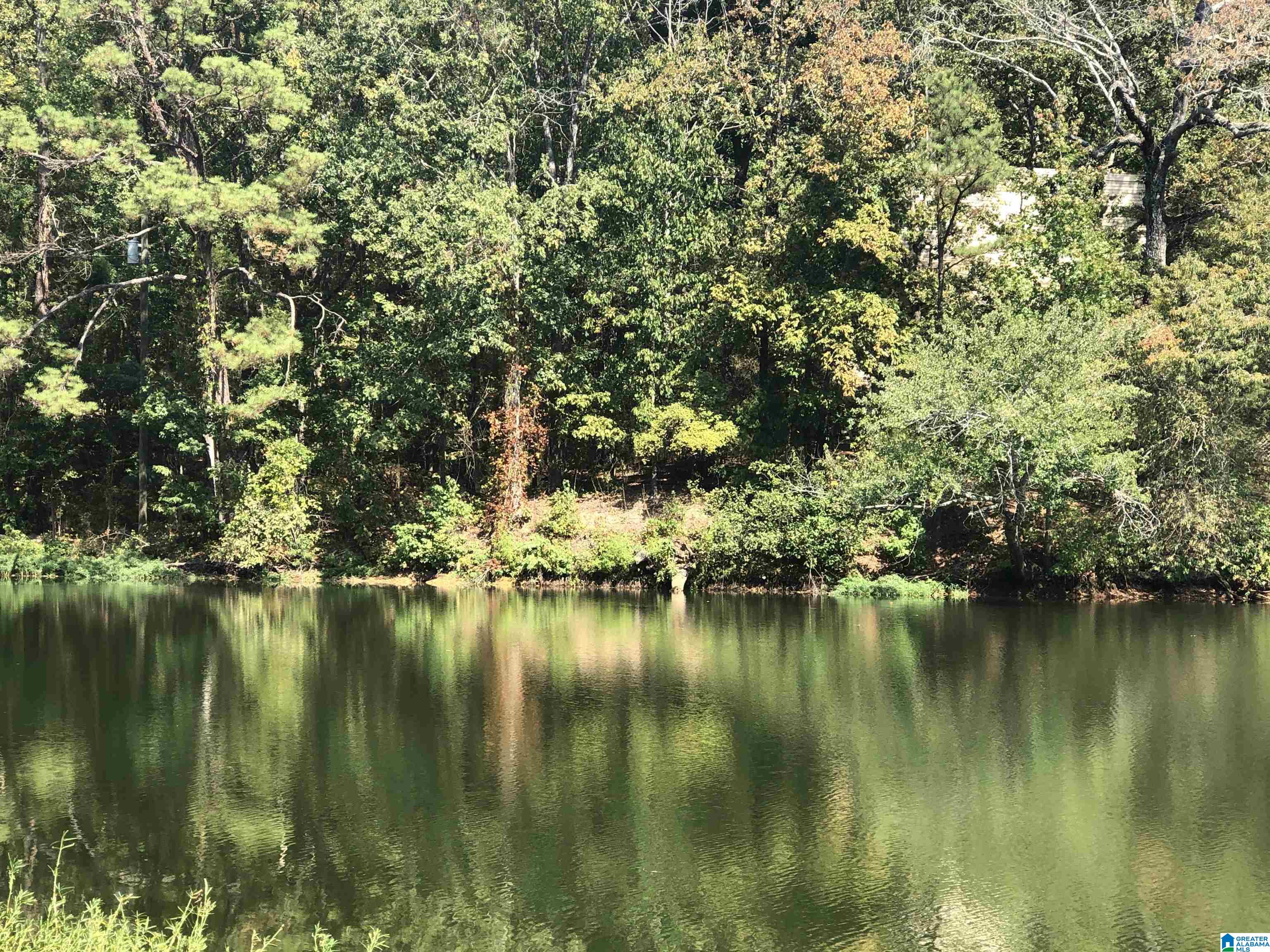 Homes for sale in Calera, AL | 01 County Road 727, Calera, AL 35040 | MLS# 21432234