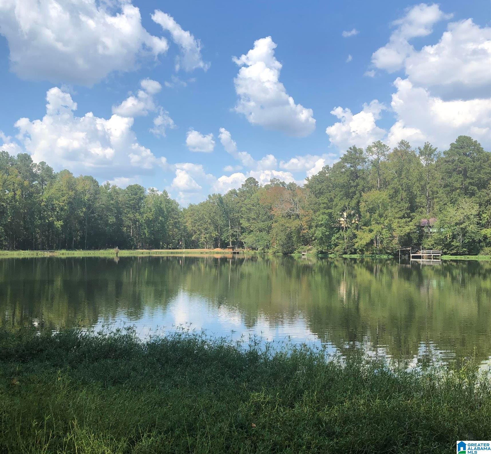 Homes for sale in Calera, AL | 01 County Road 727, Calera, AL 35040 | MLS# 21432234