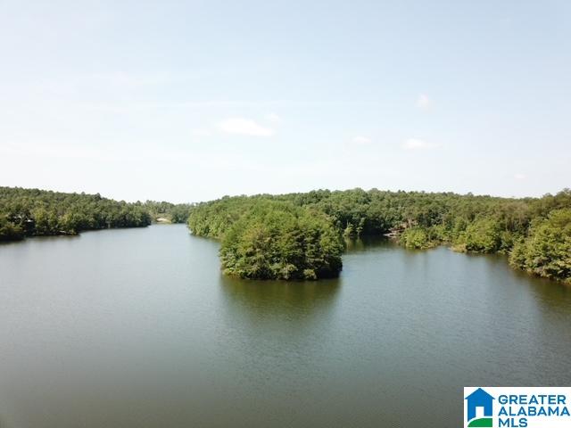 Homes for sale in Clanton, AL | 1 Cascade Dr, Clanton, AL 35045 | MLS# 21432322