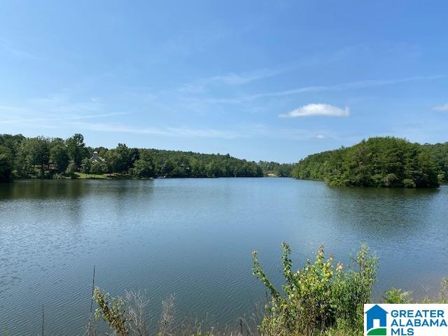 Homes for sale in Clanton, AL | 1 Cascade Dr, Clanton, AL 35045 | MLS# 21432322