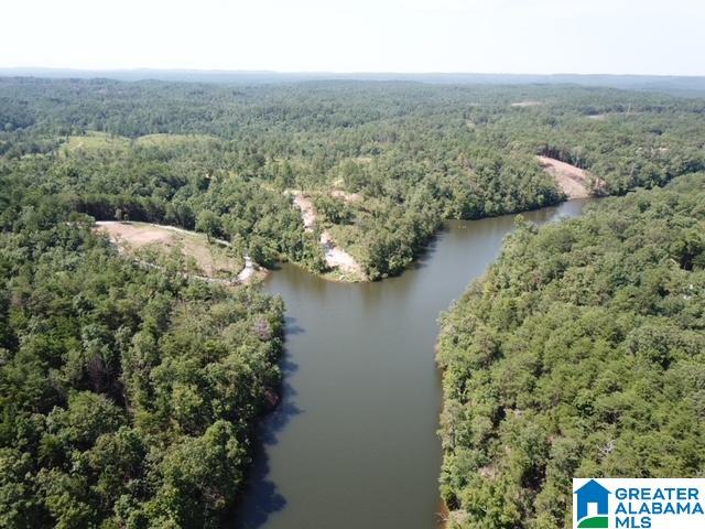 Homes for sale in Clanton, AL | 1 Cascade Dr, Clanton, AL 35045 | MLS# 21432322