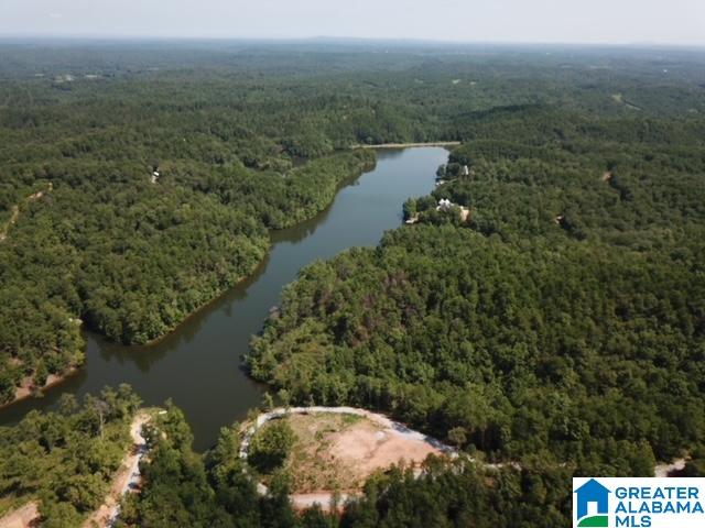 Homes for sale in Clanton, AL | 1 Cascade Dr, Clanton, AL 35045 | MLS# 21432322