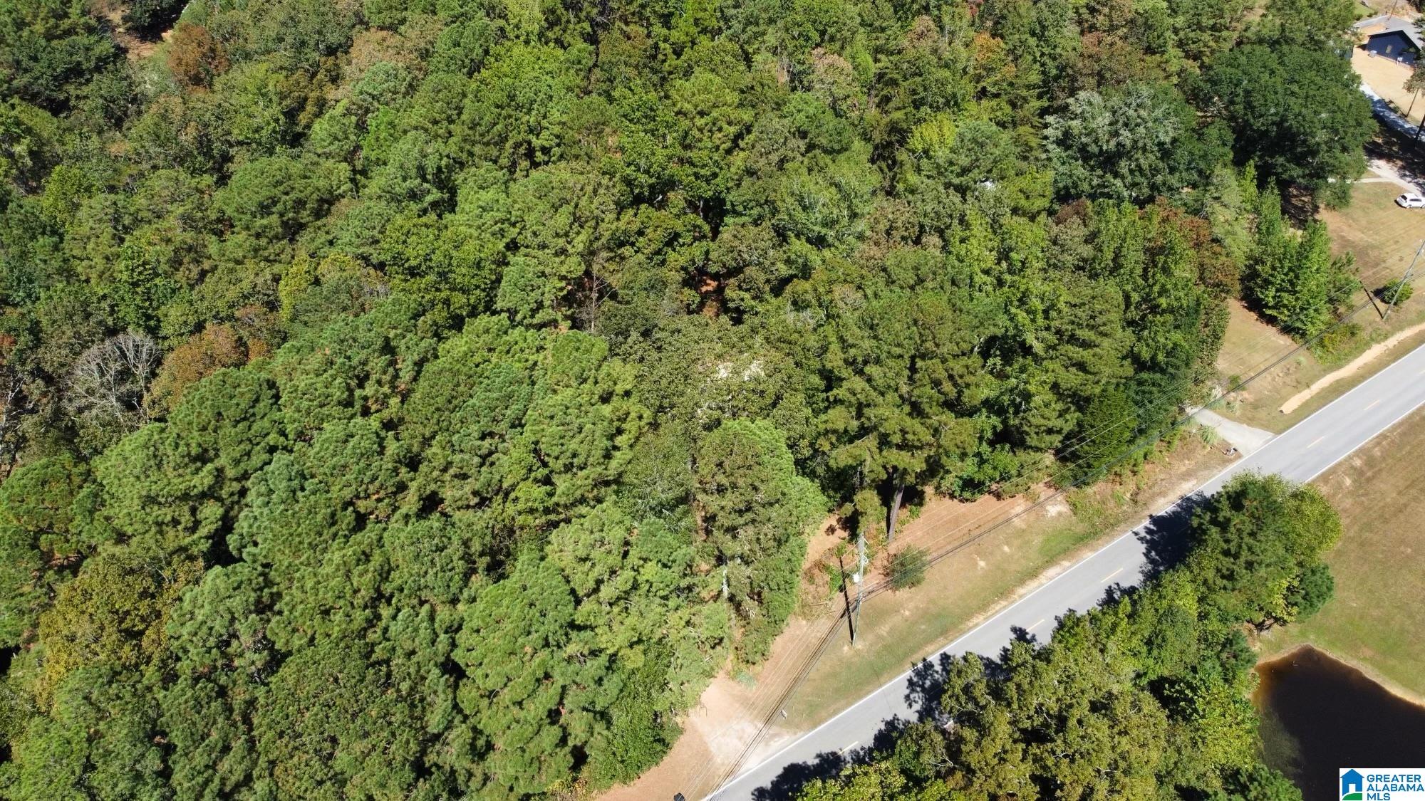 Homes for sale in Helena, AL | 1681 Hwy 93, Helena, AL 35080 | MLS# 21432387