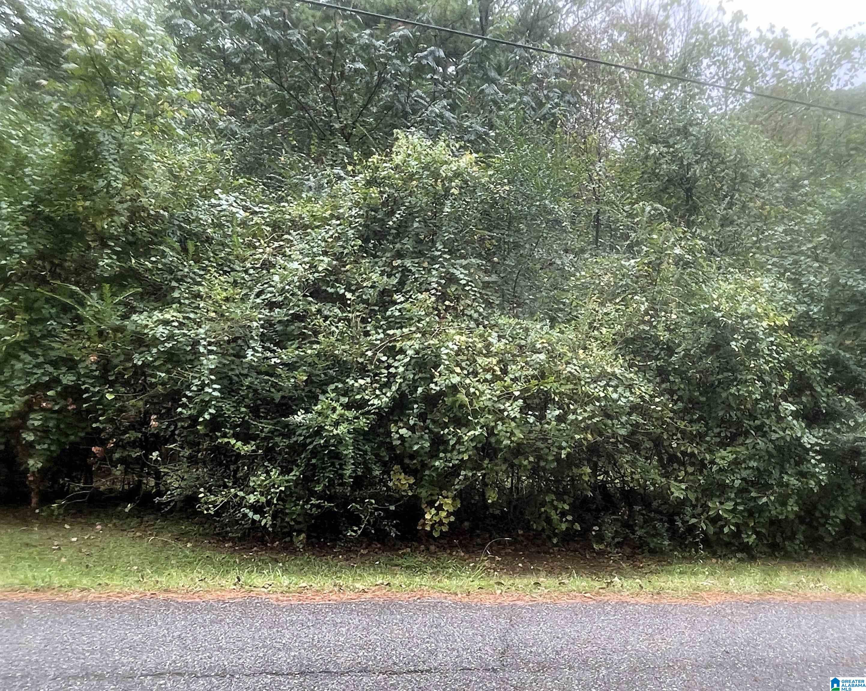 Homes for sale in Pinson, AL | 6838 Oak Leaf Lane, Pinson, AL 35126 | MLS# 21432491