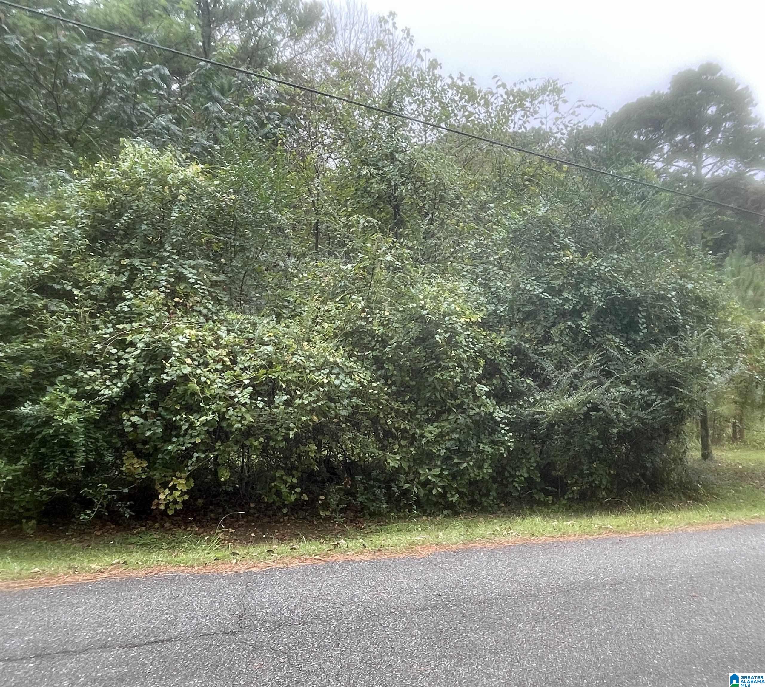 Homes for sale in Pinson, AL | 6838 Oak Leaf Lane, Pinson, AL 35126 | MLS# 21432491