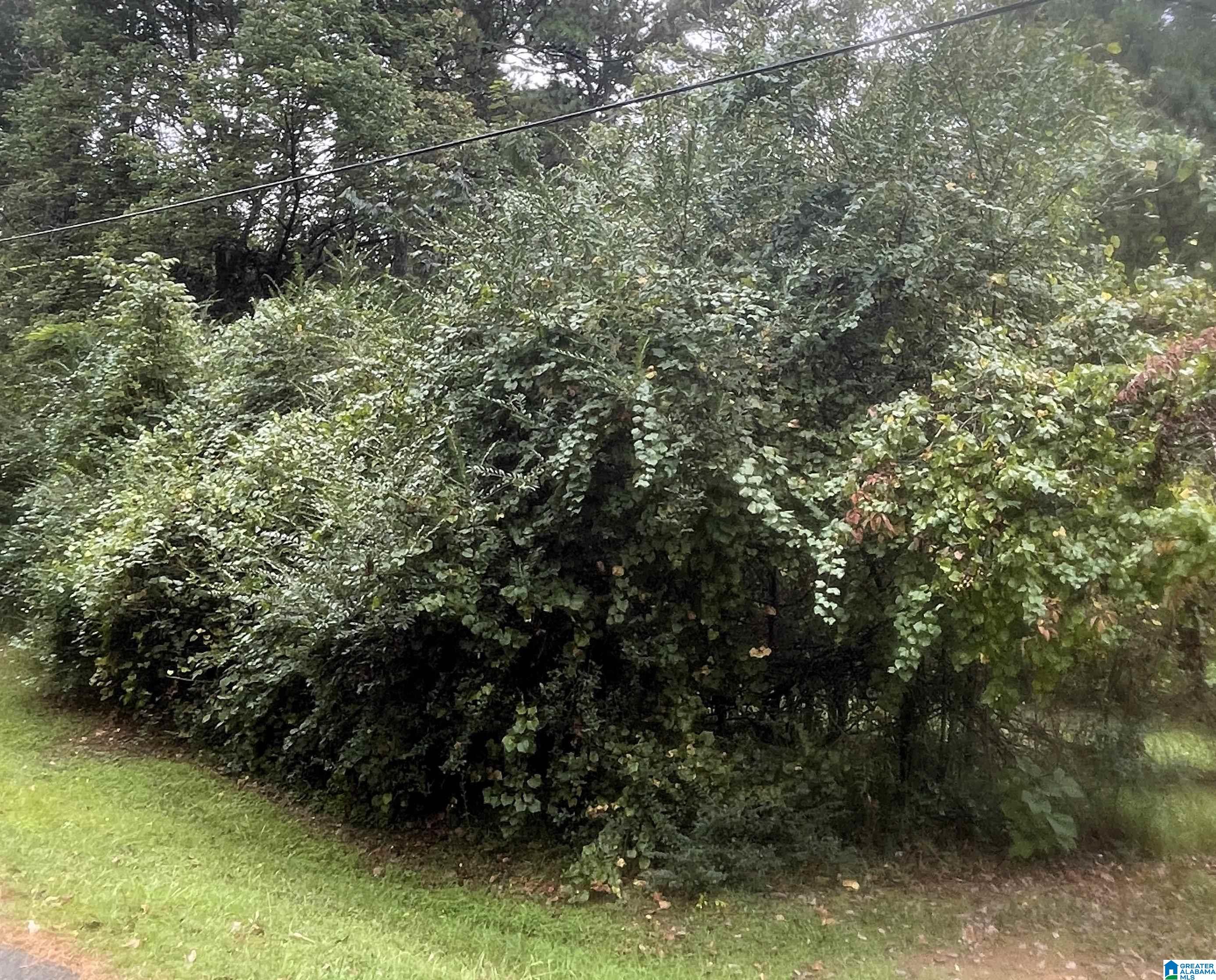 Homes for sale in Pinson, AL | 6838 Oak Leaf Lane, Pinson, AL 35126 | MLS# 21432491