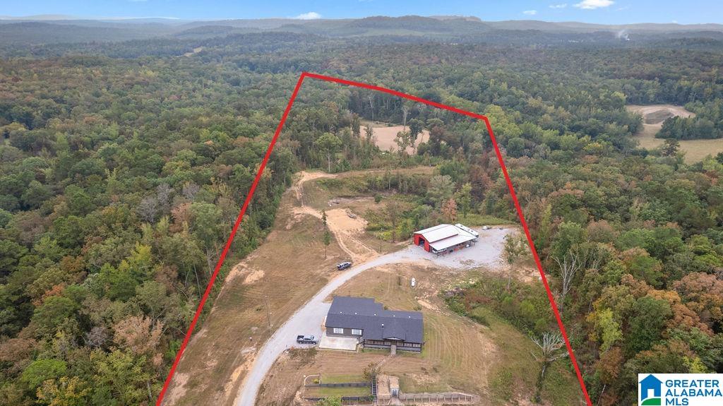 Homes for sale in Ohatchee, AL | 606 Red Eagle Road, Ohatchee, AL 36271 | MLS# 21432589