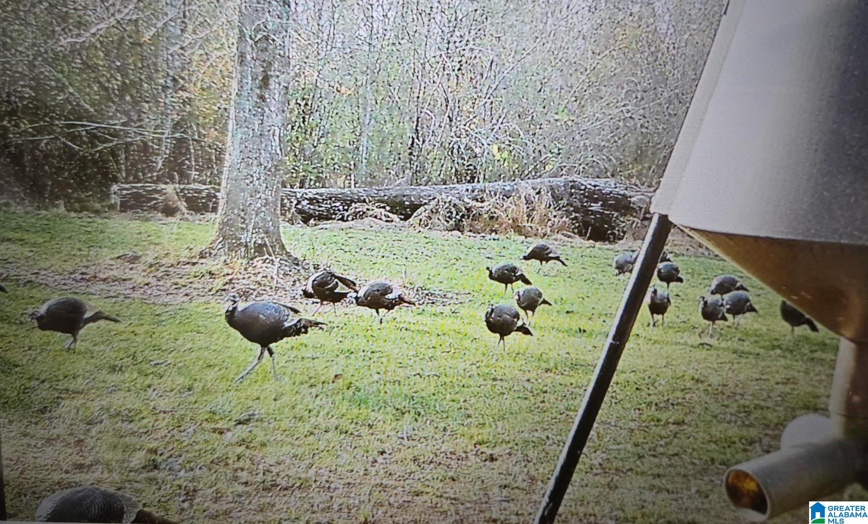 Homes for sale in Ohatchee, AL | 606 Red Eagle Road, Ohatchee, AL 36271 | MLS# 21432589