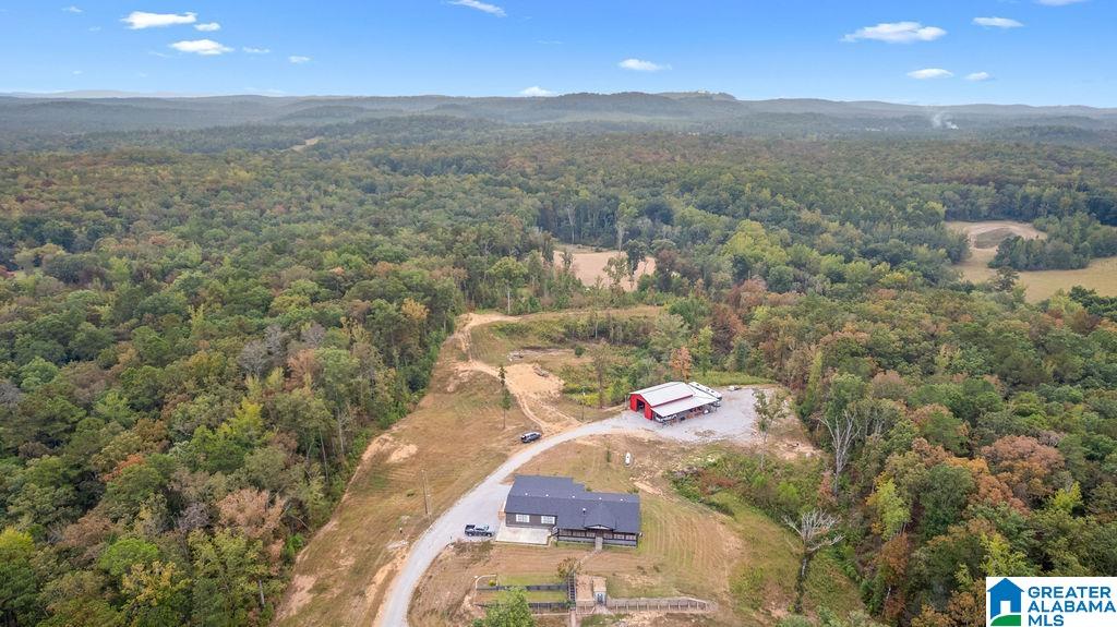 Homes for sale in Ohatchee, AL | 606 Red Eagle Road, Ohatchee, AL 36271 | MLS# 21432589