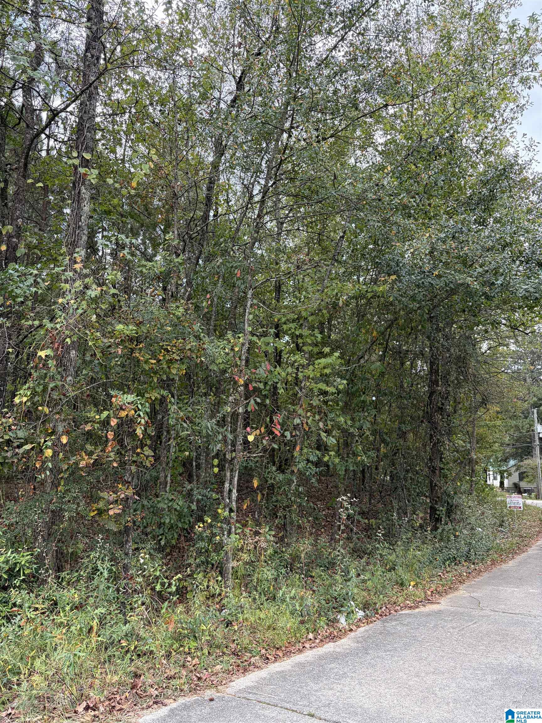 Homes for sale in Wilsonville, AL | 000 Oakland Avenue, Wilsonville, AL 35186 | MLS# 21432607