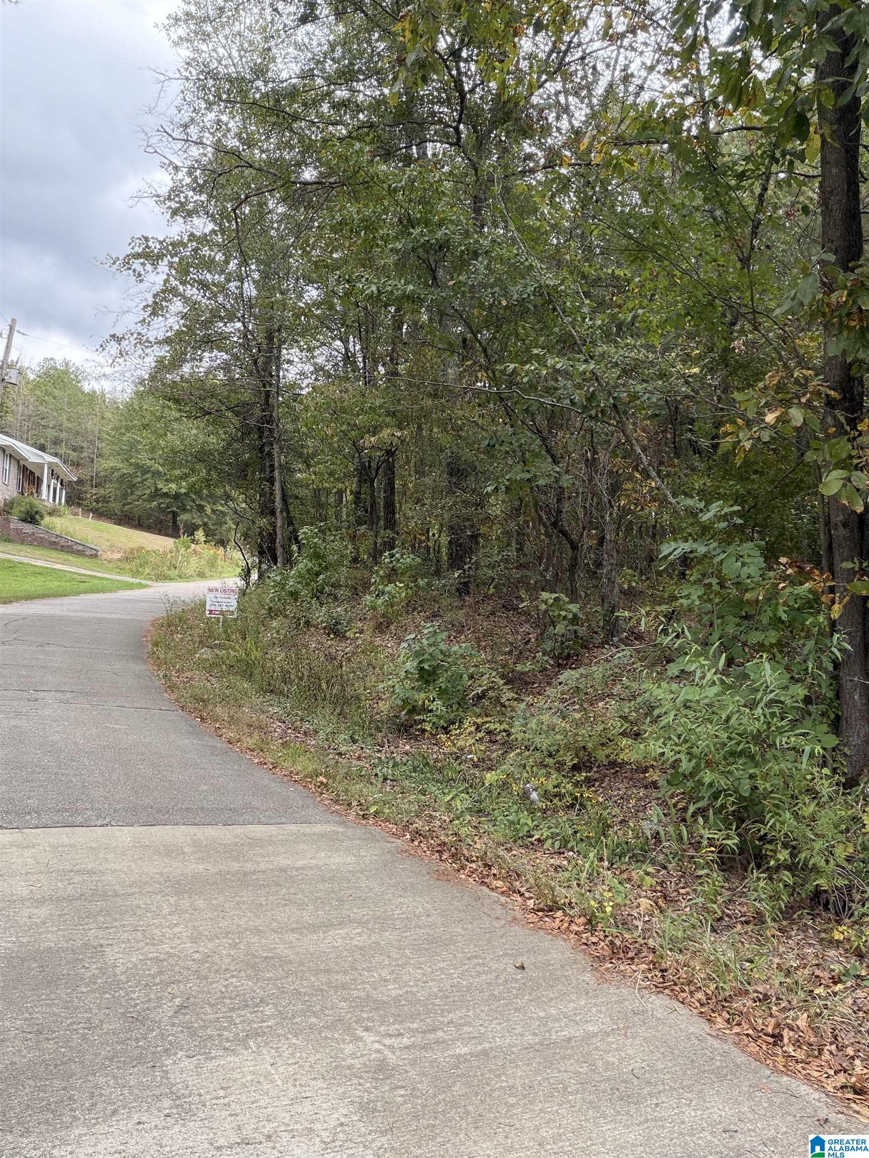 Homes for sale in Wilsonville, AL | 000 Oakland Avenue, Wilsonville, AL 35186 | MLS# 21432607