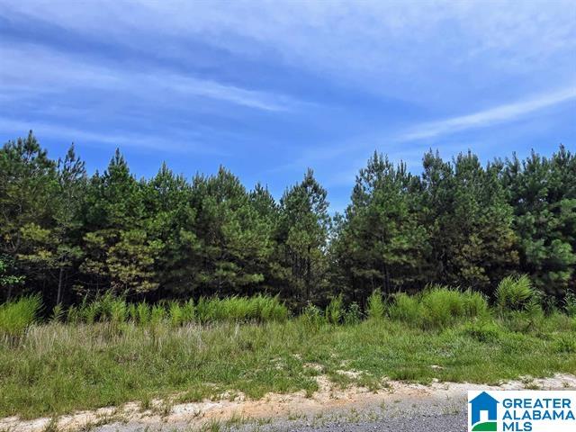 Homes for sale in Double Springs, AL | 241 Shoreside Dr, Double Springs, AL 35553 | MLS# 21432621