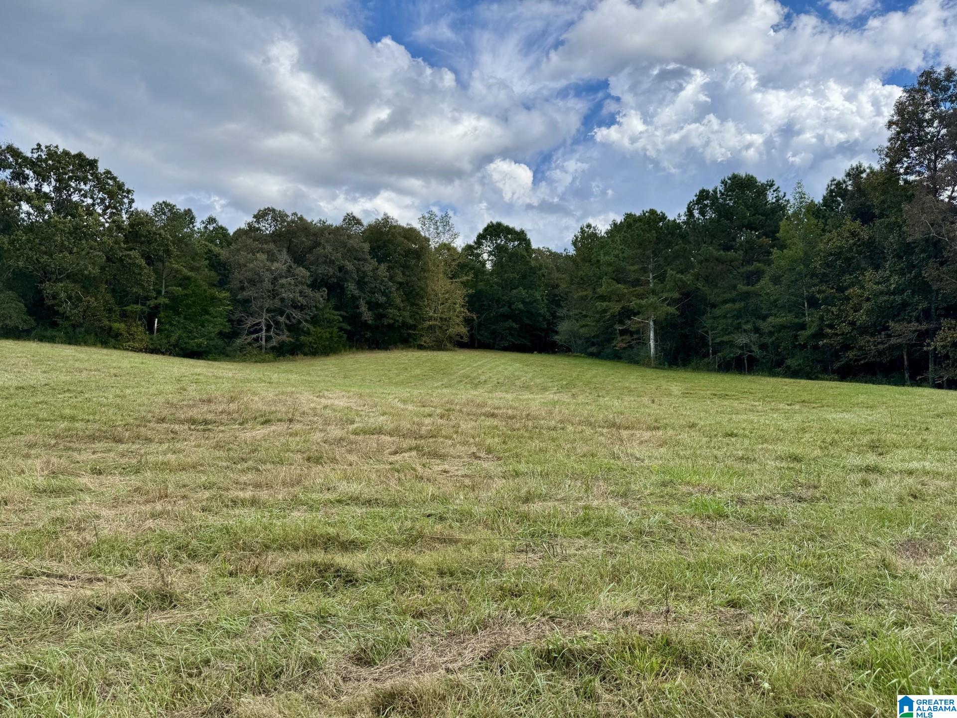 Homes for sale in Lineville, AL | 0 Hwy 48, Lineville, AL 36266 | MLS# 21432678