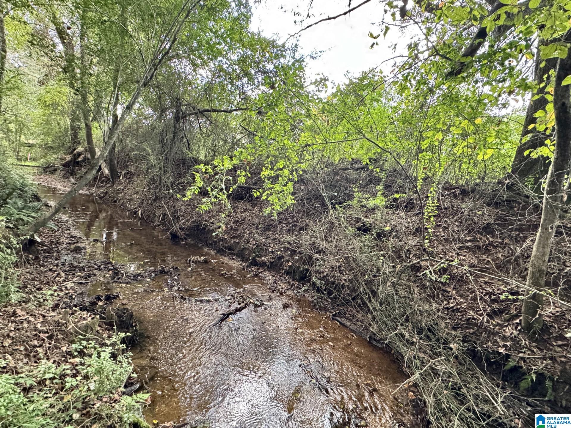 Homes for sale in Lineville, AL | 0 Hwy 48, Lineville, AL 36266 | MLS# 21432678