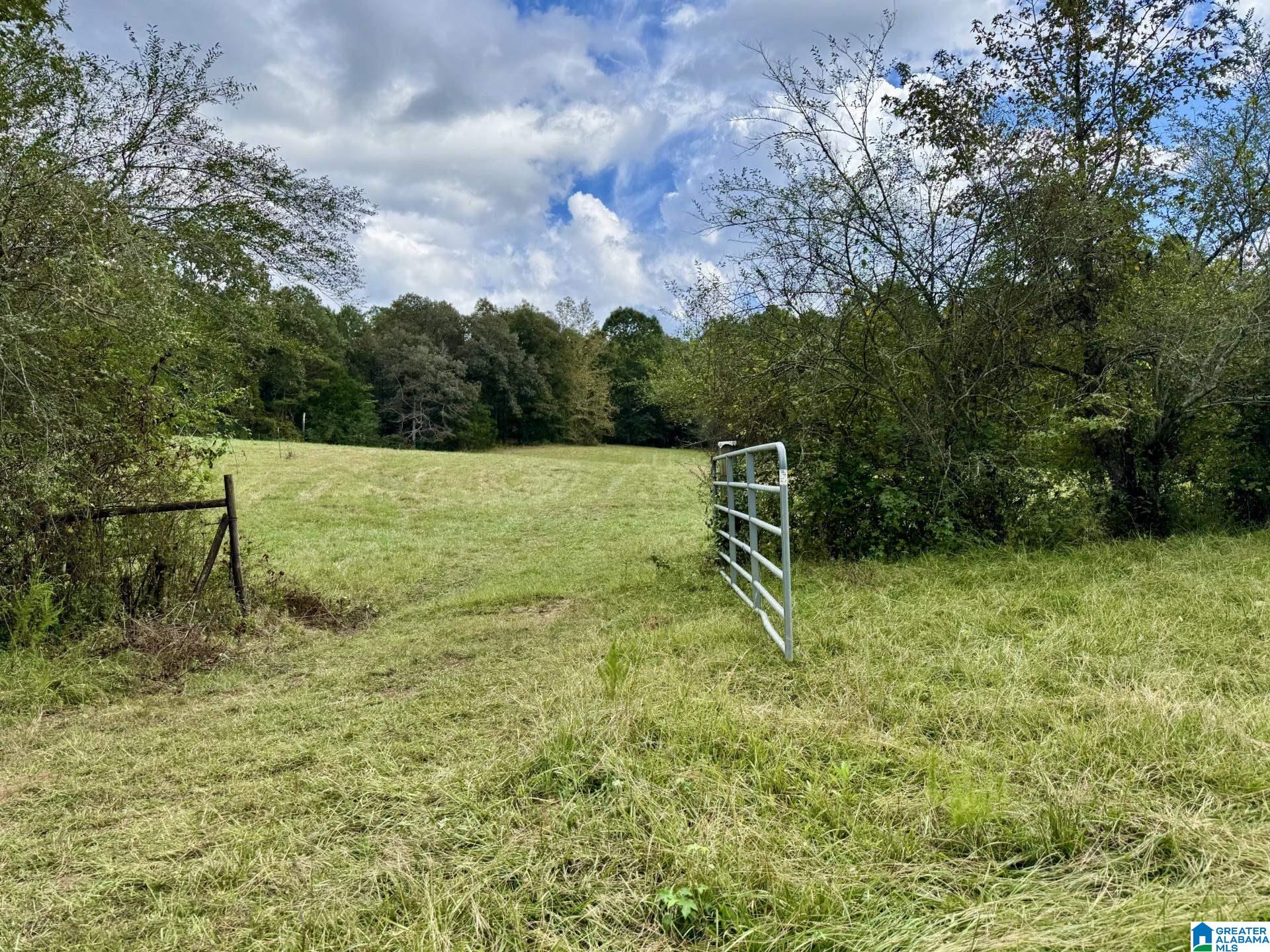 Homes for sale in Lineville, AL | 0 Hwy 48, Lineville, AL 36266 | MLS# 21432678