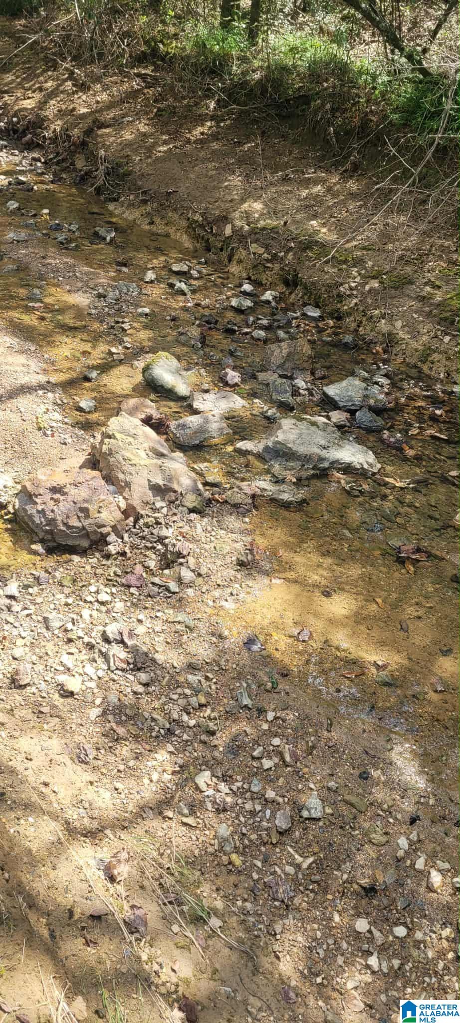 Homes for sale in Pell City, AL | 3402 Cogswell Avenue, Pell City, AL 35125 | MLS# 21432687