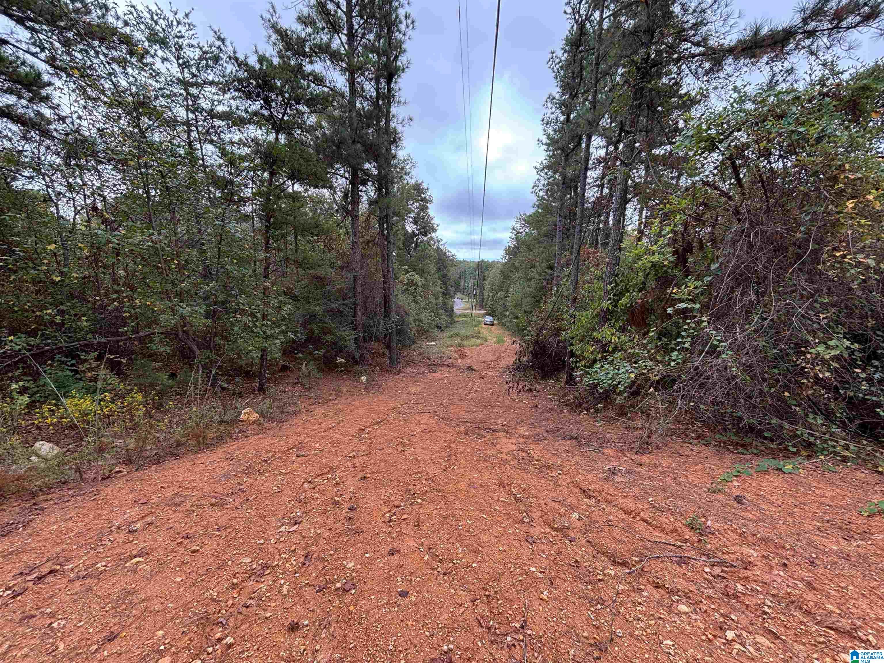 Homes for sale in Odenville, AL | Hearthstone Dr, Odenville, AL 35120 | MLS# 21432866