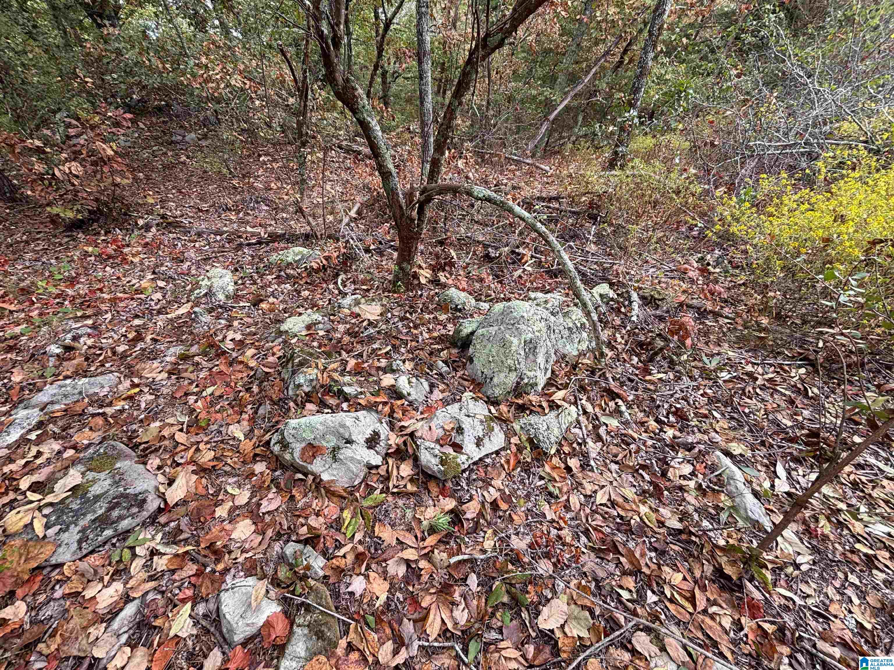 Homes for sale in Odenville, AL | Hearthstone Dr, Odenville, AL 35120 | MLS# 21432866