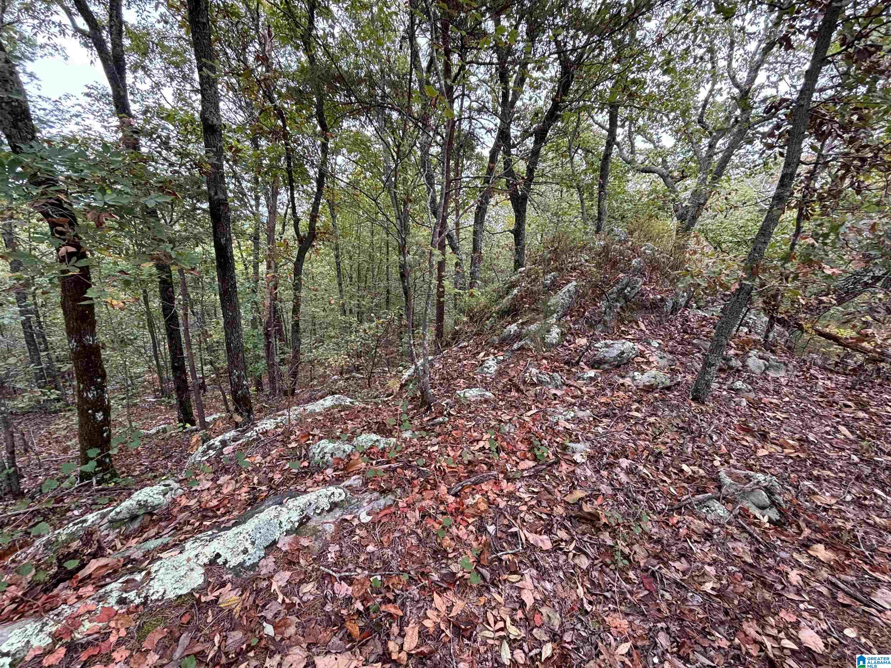 Homes for sale in Odenville, AL | Hearthstone Dr, Odenville, AL 35120 | MLS# 21432866