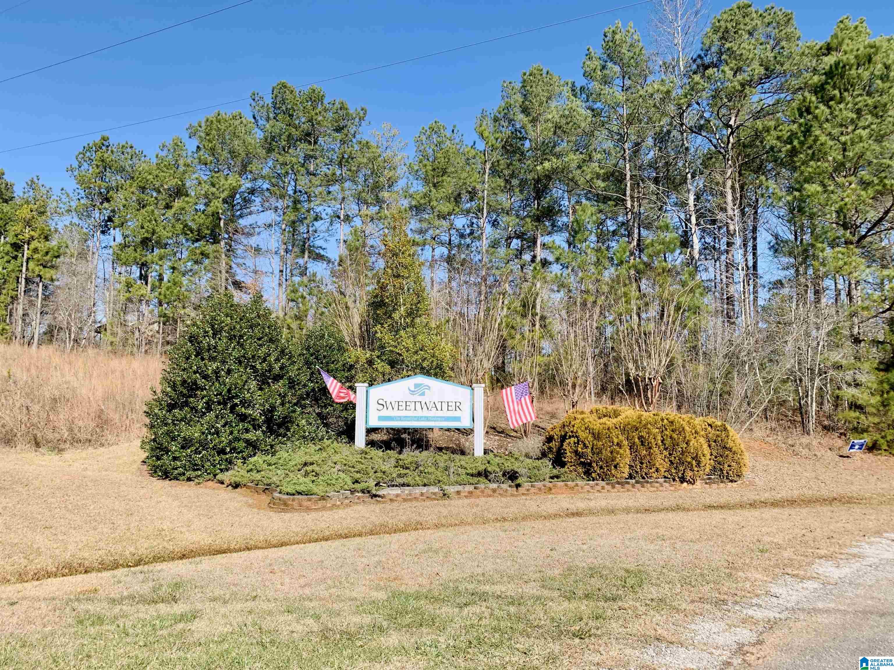 Homes for sale in Lineville, AL | 0 Overlook Dr, Lineville, AL 36266 | MLS# 21432932