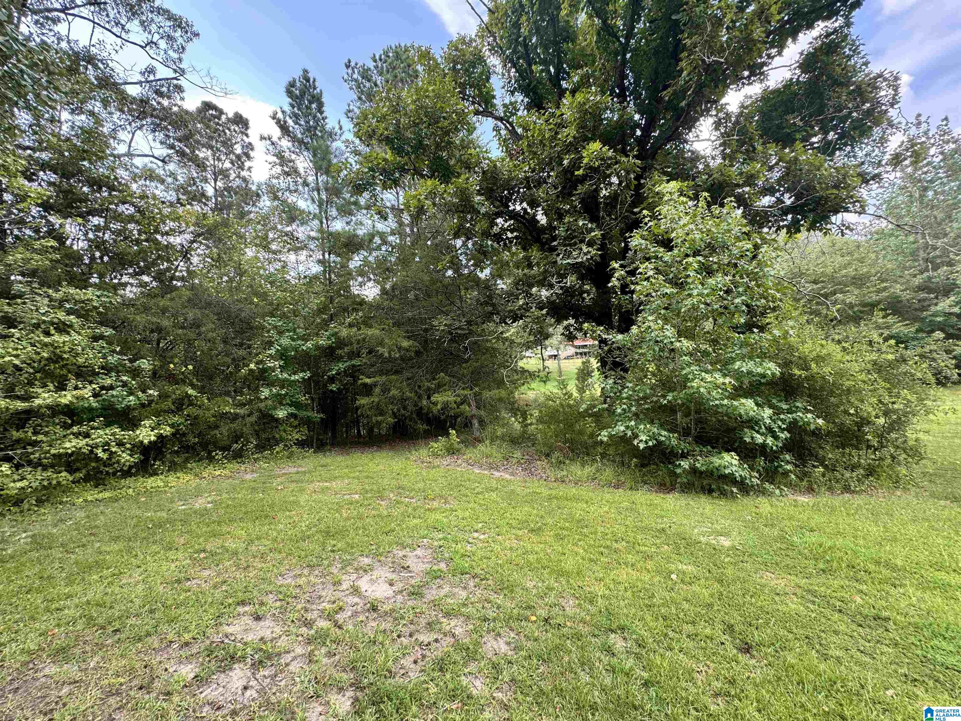 Homes for sale in West Blocton, AL | 0 Truman Aldrich Parkway, West Blocton, AL 35184 | MLS# 21432994