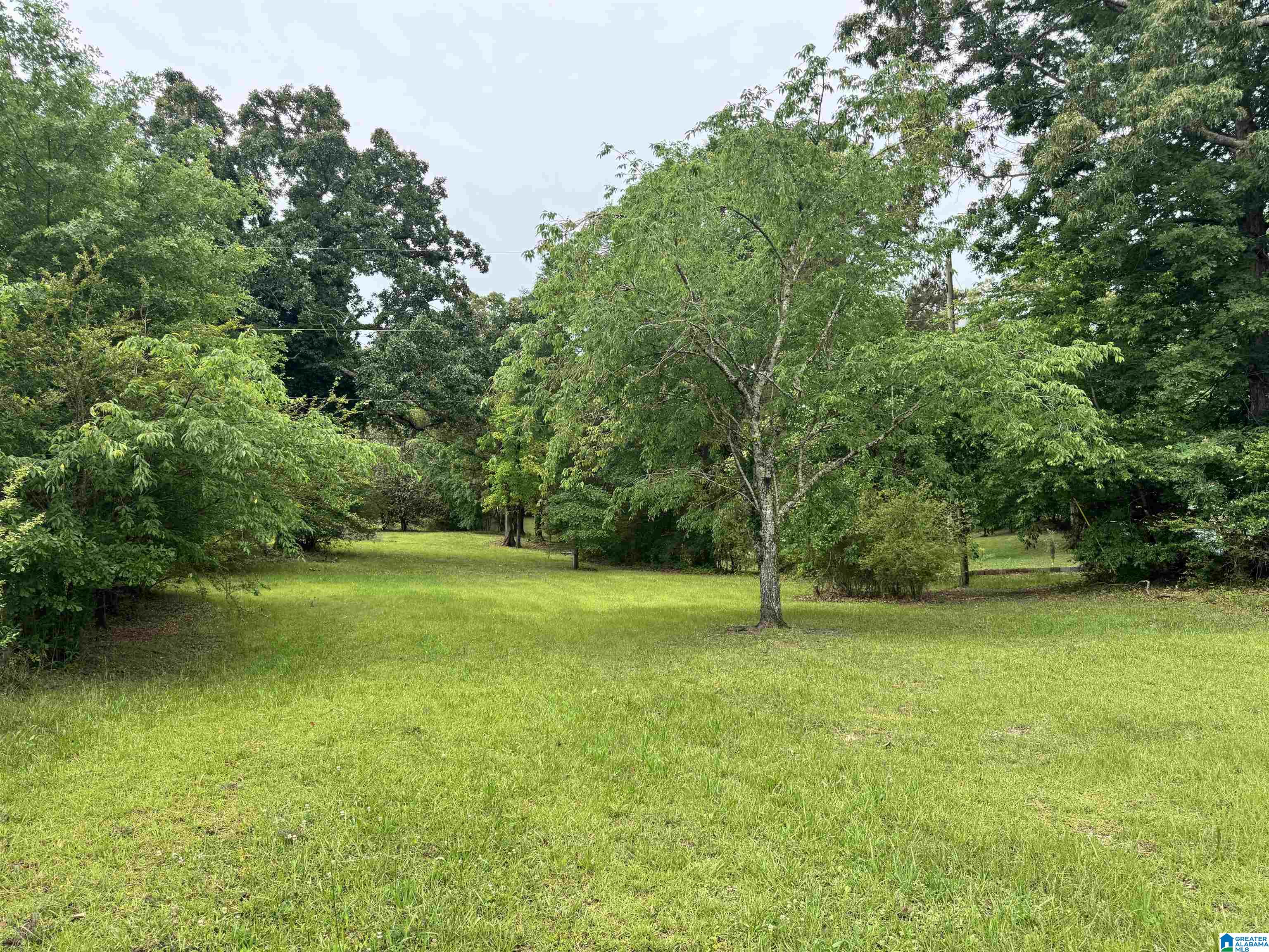 Homes for sale in West Blocton, AL | 0 Truman Aldrich Parkway, West Blocton, AL 35184 | MLS# 21432994