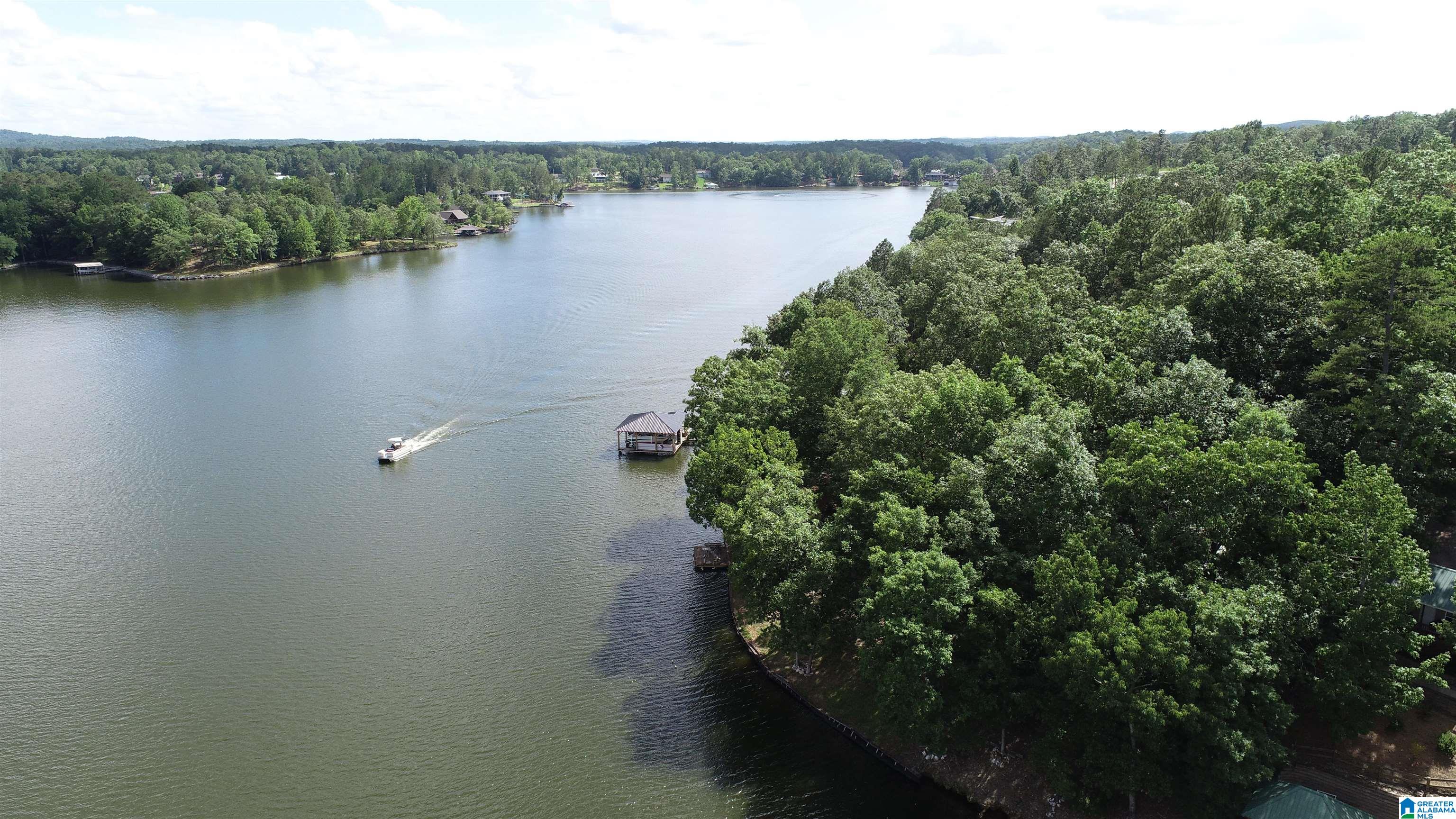 Homes for sale in Wedowee, AL | 465 Jeans Way, Wedowee, AL 36278 | MLS# 21433007