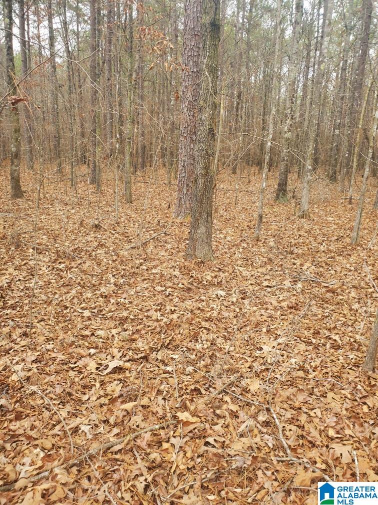 Homes for sale in Ashville, AL | 0 Wood Lane, Ashville, AL 35953 | MLS# 21433031