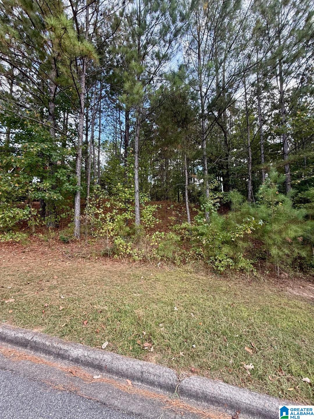 Homes for sale in Chelsea, AL | 325 Deer Ridge Lane, Chelsea, AL 35043 | MLS# 21433206