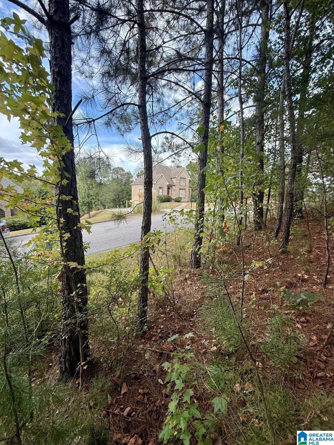 Homes for sale in Chelsea, AL | 325 Deer Ridge Lane, Chelsea, AL 35043 | MLS# 21433206