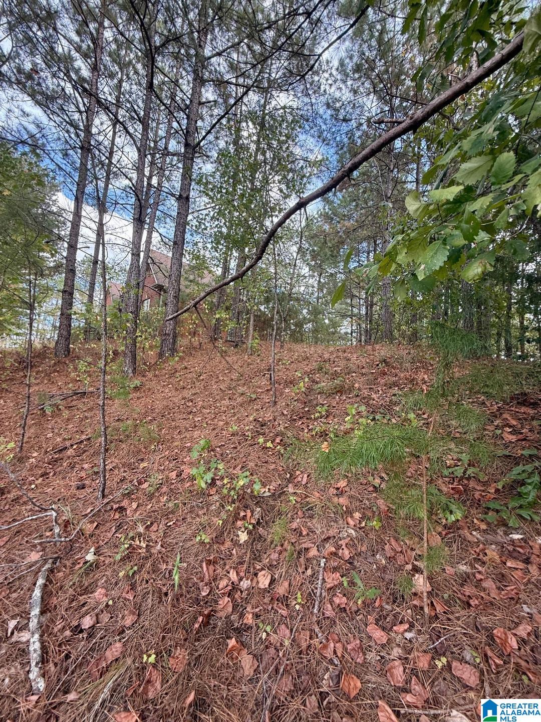 Homes for sale in Chelsea, AL | 325 Deer Ridge Lane, Chelsea, AL 35043 | MLS# 21433206