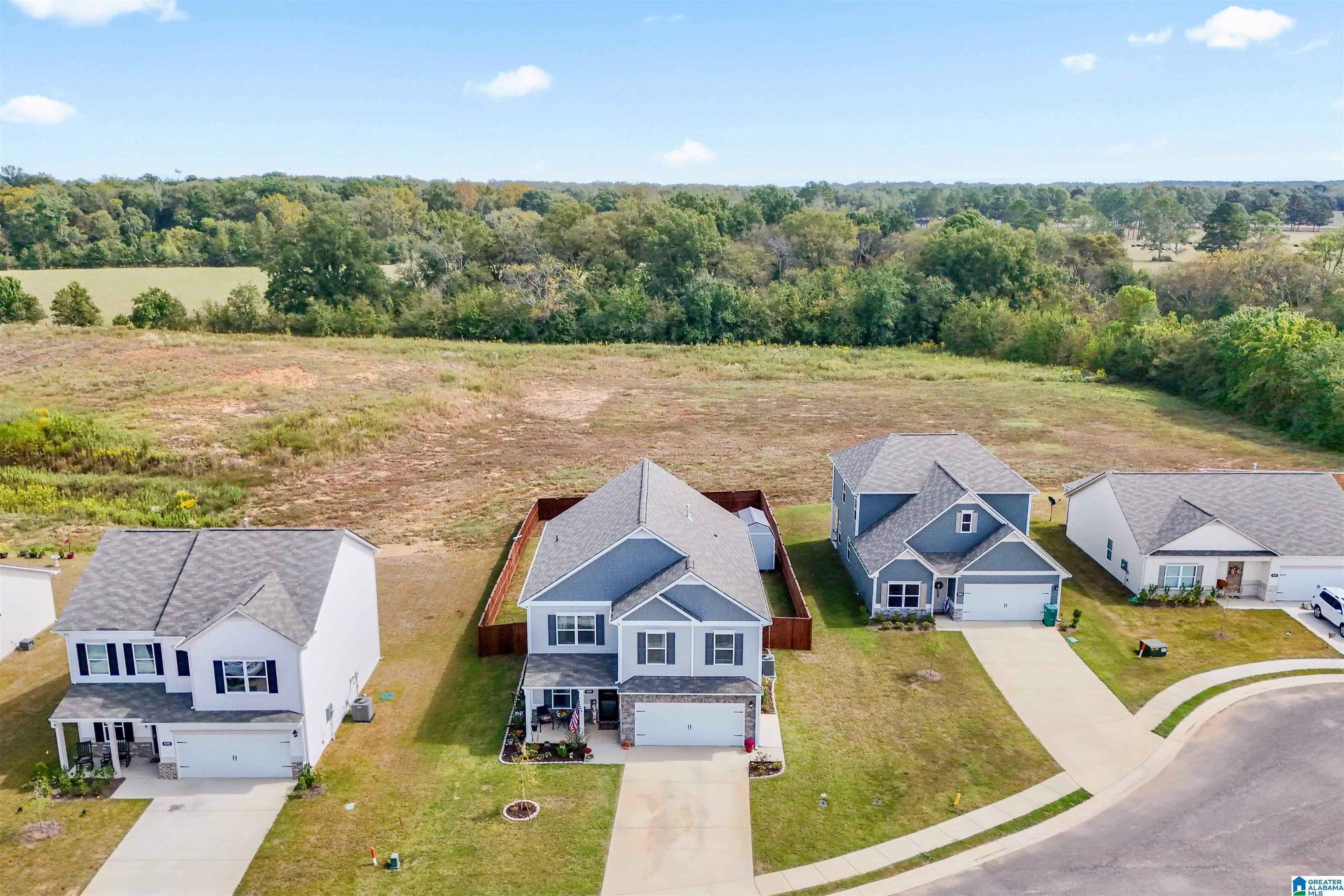 Homes for sale in Harpersville, AL | 5159 Pintail Dr, Harpersville, AL 35078 | MLS# 21433244