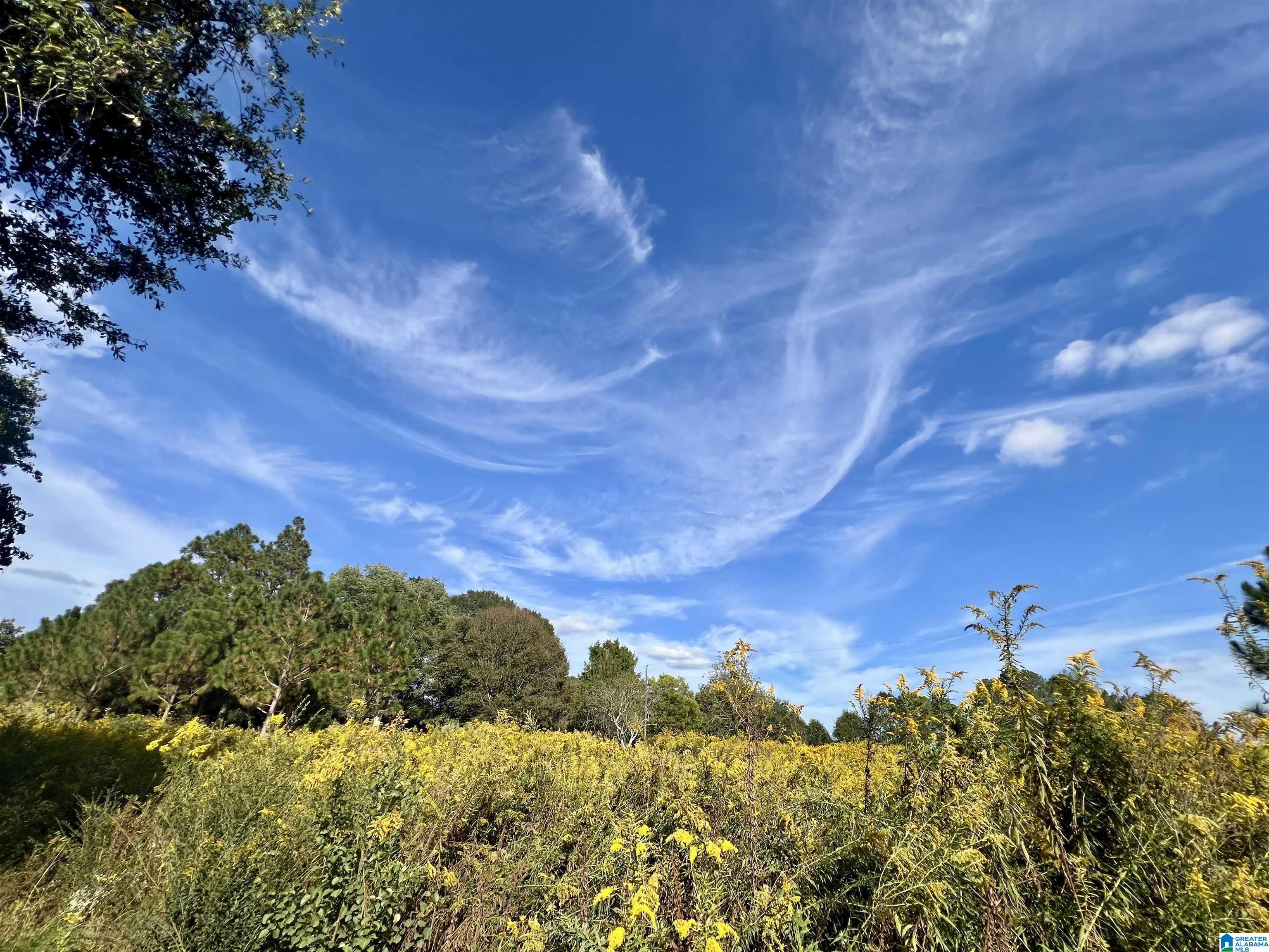 Homes for sale in Graham, AL | 0 County Road 504, Graham, AL 36263 | MLS# 21433250