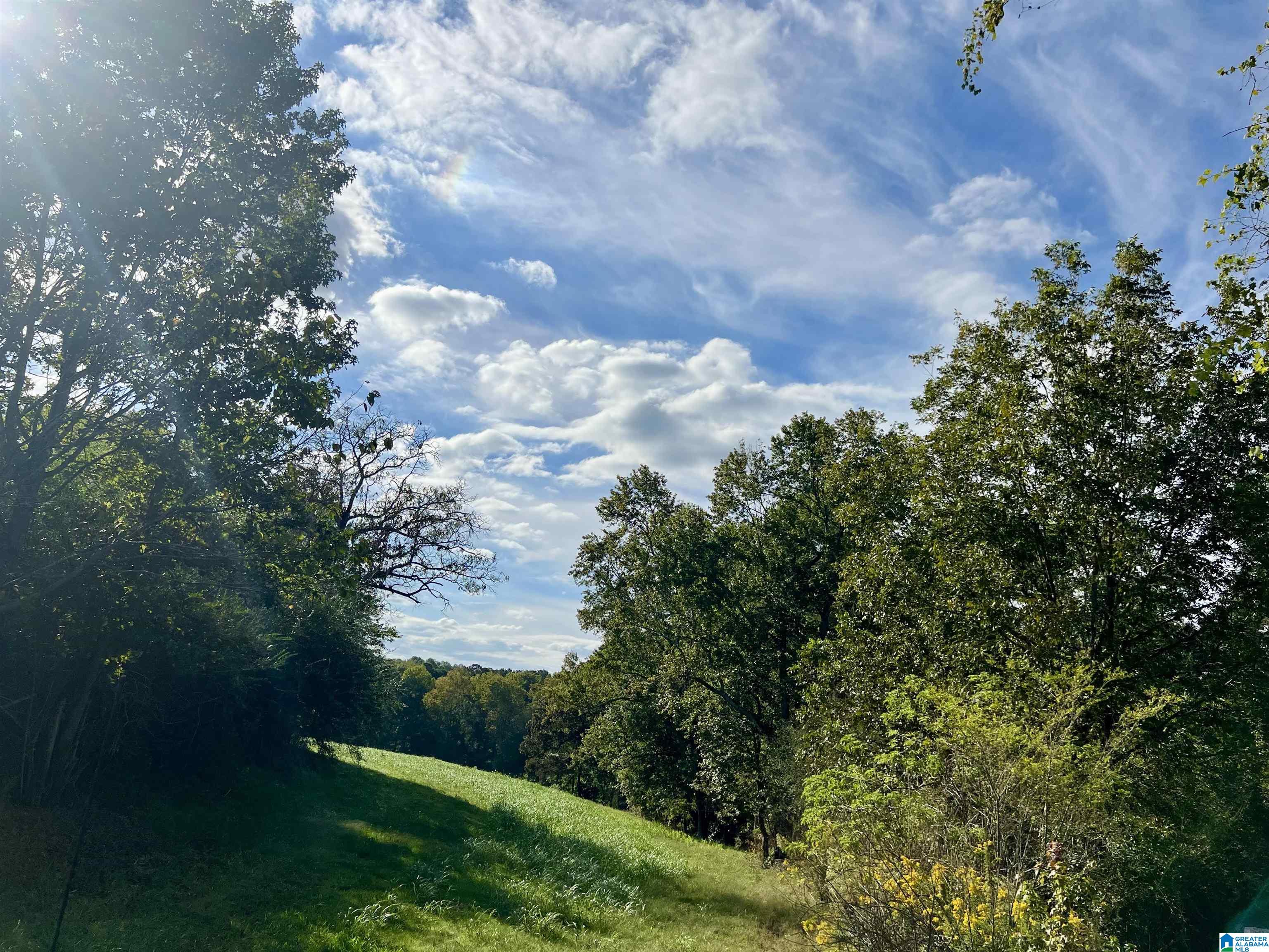 Homes for sale in Graham, AL | 0 County Road 504, Graham, AL 36263 | MLS# 21433250