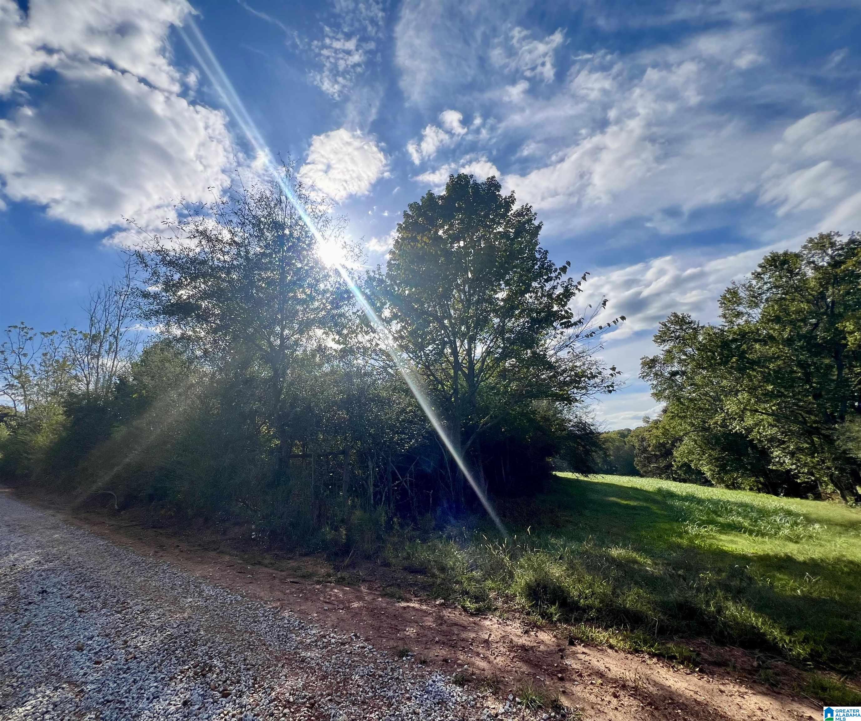 Homes for sale in Graham, AL | 0 County Road 504, Graham, AL 36263 | MLS# 21433250