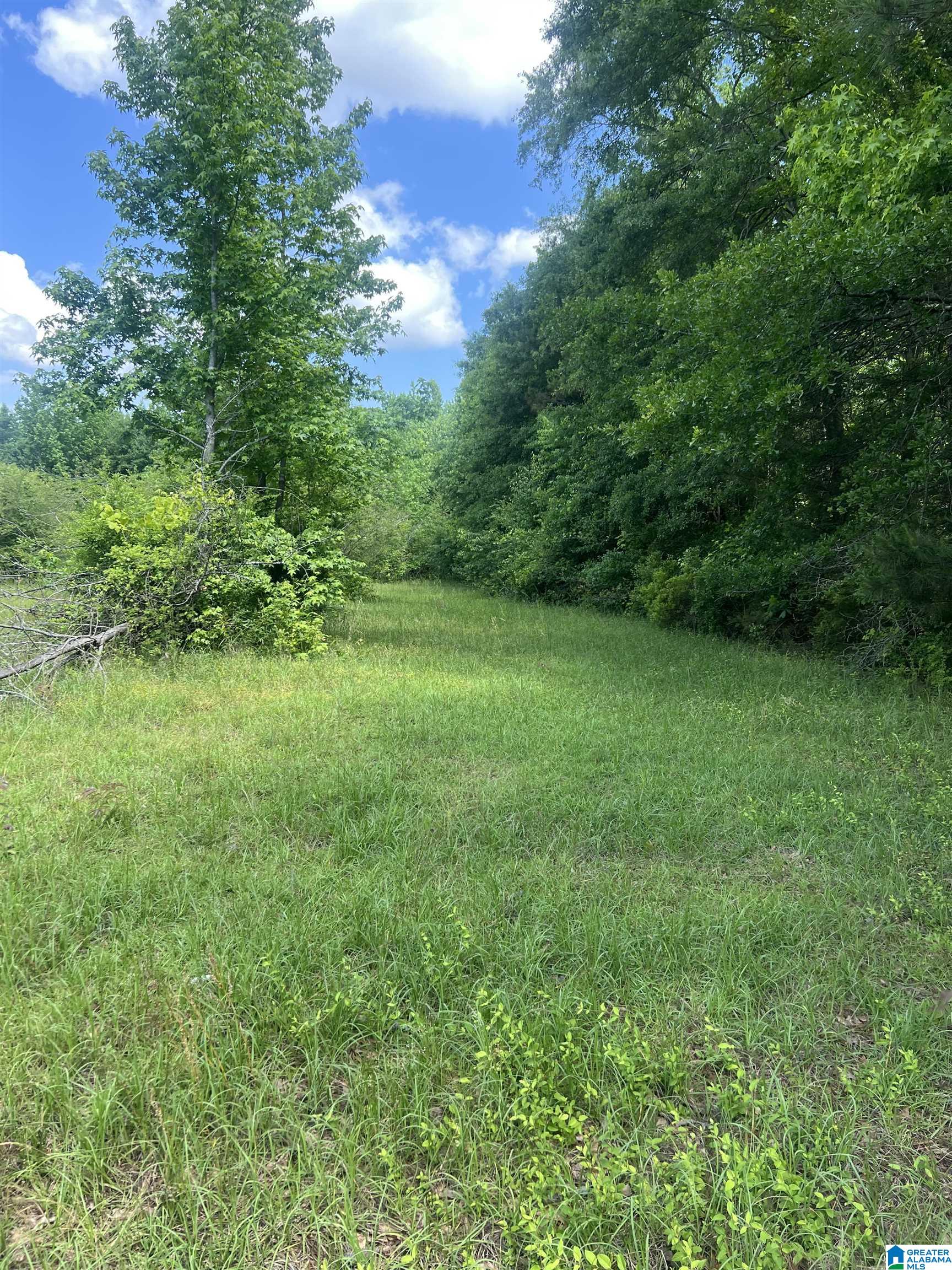 Homes for sale in Clanton, AL | 0 Hopewell Dr, Clanton, AL 35045 | MLS# 21433405