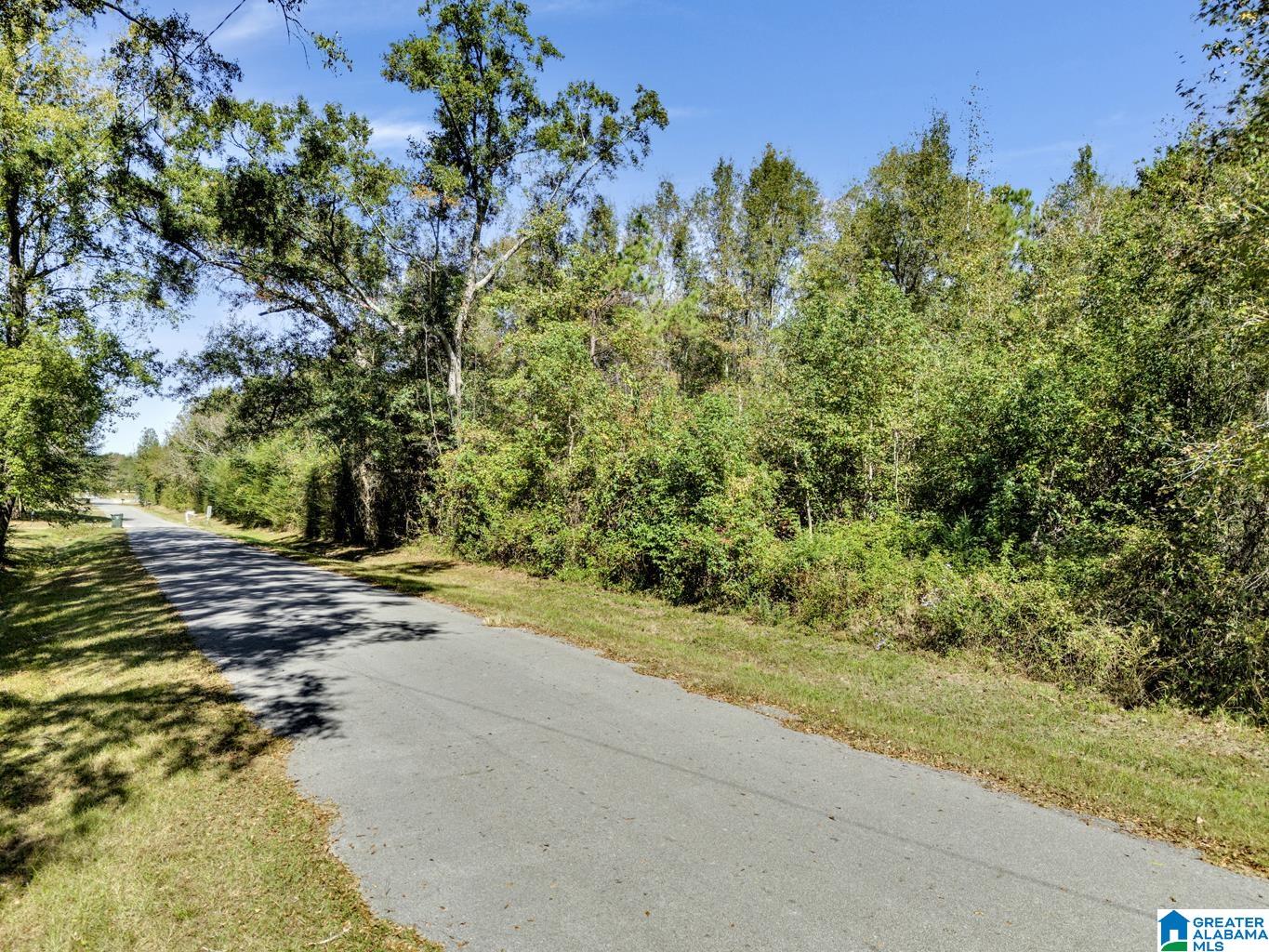 Homes for sale in Clanton, AL | 0 Hopewell Dr, Clanton, AL 35045 | MLS# 21433405