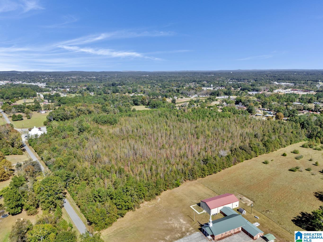 Homes for sale in Clanton, AL | 0 Hopewell Dr, Clanton, AL 35045 | MLS# 21433405