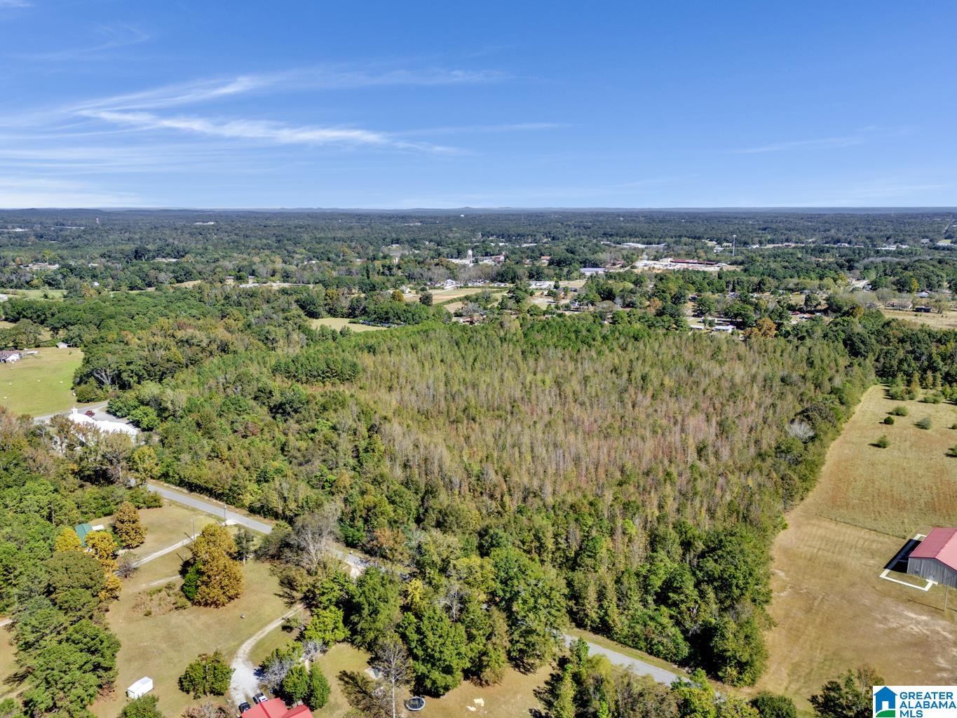 Homes for sale in Clanton, AL | 0 Hopewell Dr, Clanton, AL 35045 | MLS# 21433405