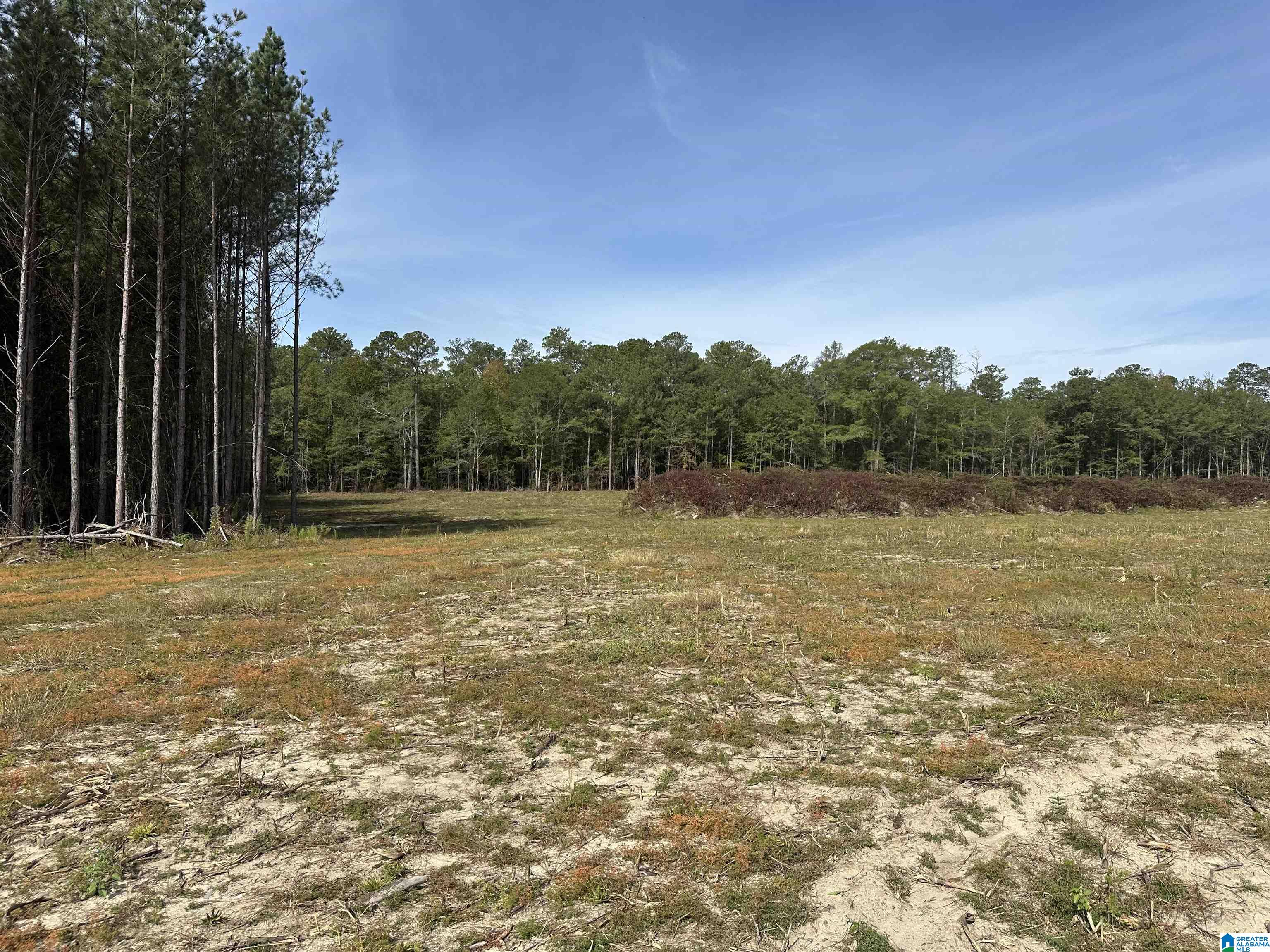 Homes for sale in Lafayette, AL | 3265 County Road 53, Lafayette, AL 36862 | MLS# 21433508
