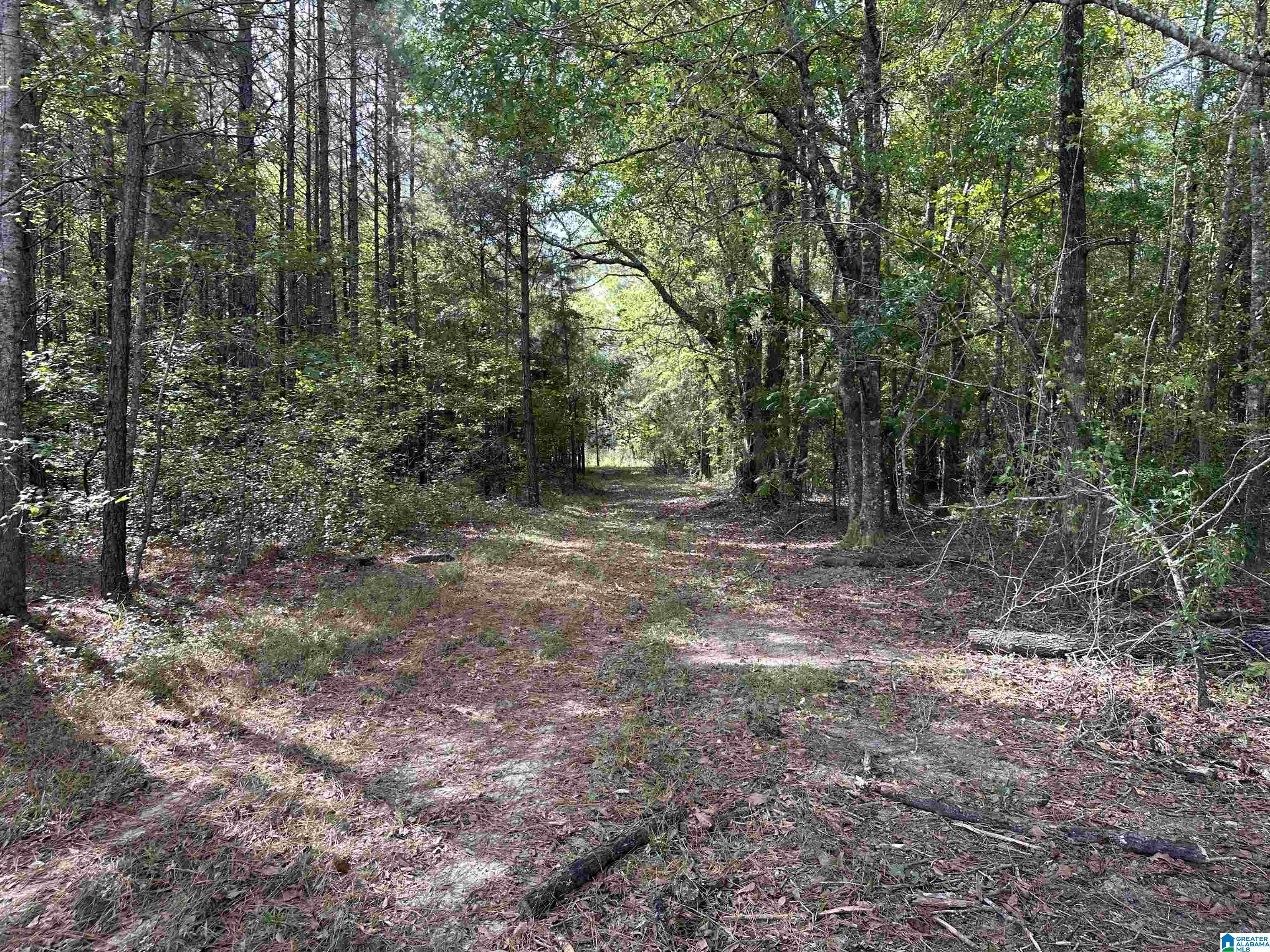 Homes for sale in Lafayette, AL | 3265 County Road 53, Lafayette, AL 36862 | MLS# 21433508