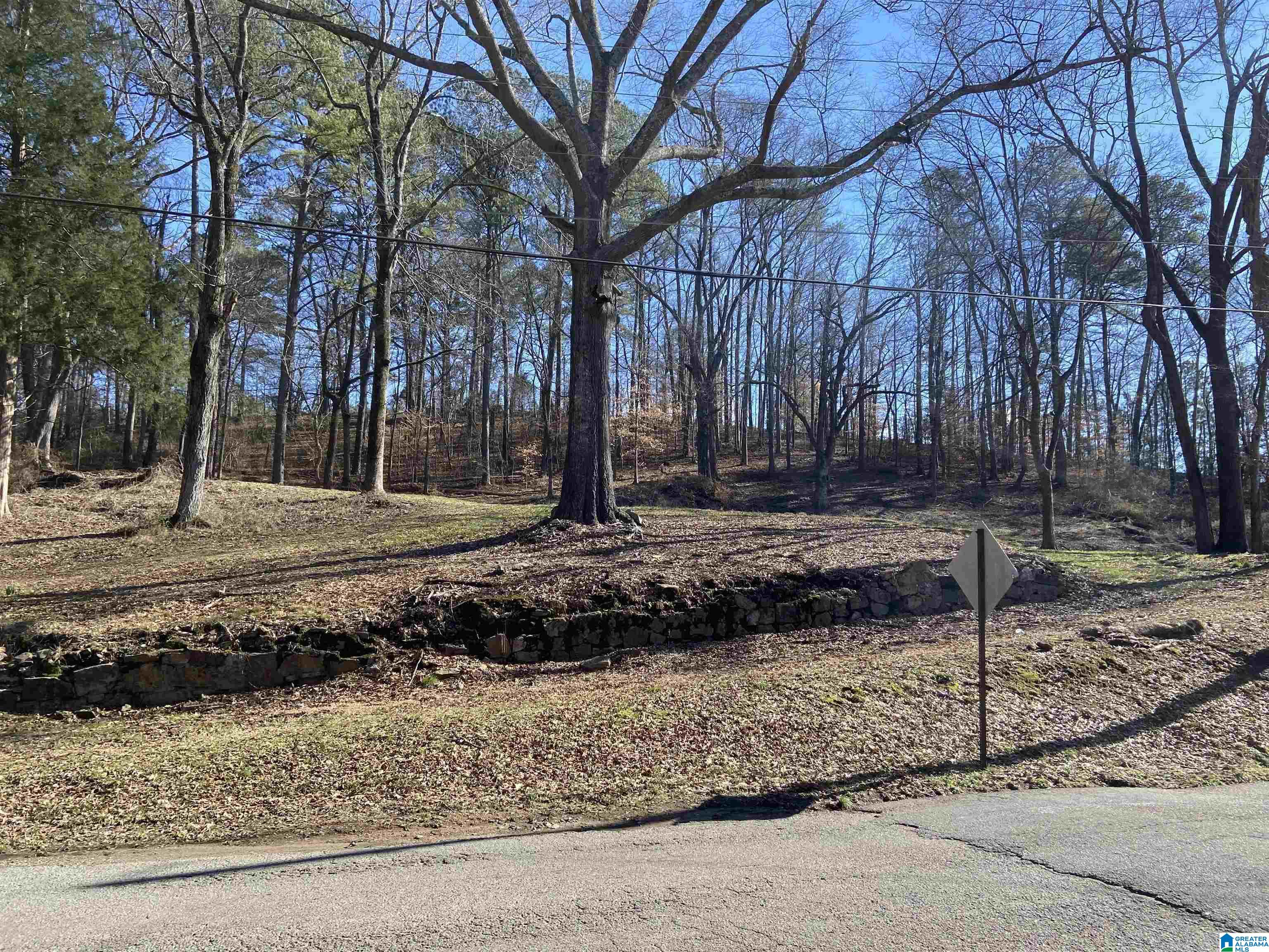 Homes for sale in Springville, AL | 0 Robinson Street, Springville, AL 35146 | MLS# 21433572