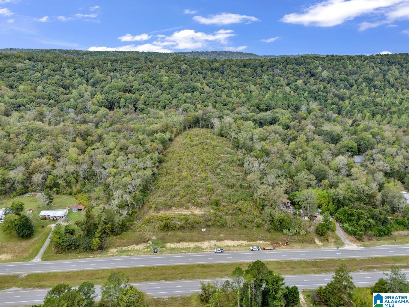 Homes for sale in Remlap, AL | 00 Hwy 75, Remlap, AL 35133 | MLS# 21433584