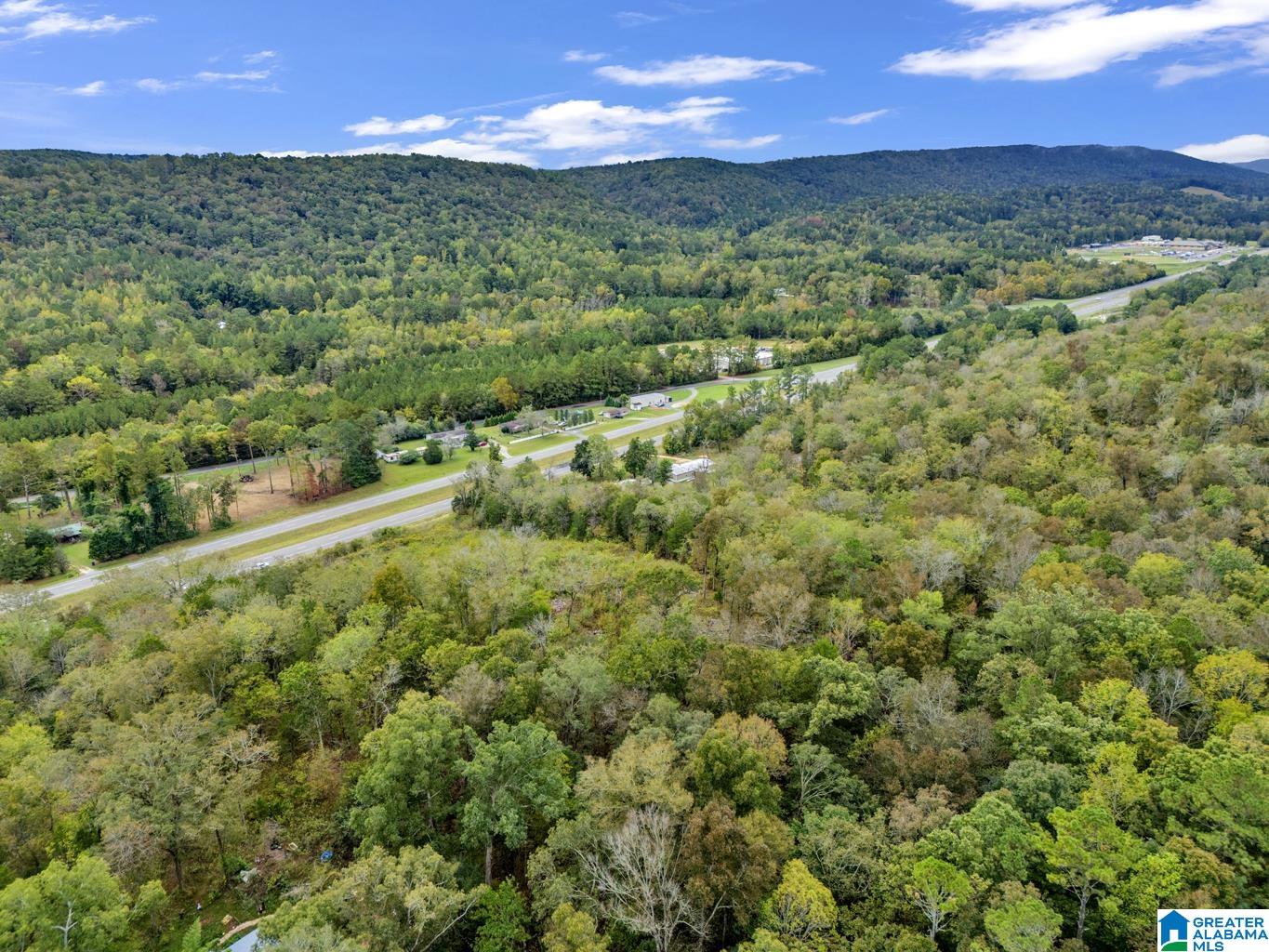 Homes for sale in Remlap, AL | 00 Hwy 75, Remlap, AL 35133 | MLS# 21433584