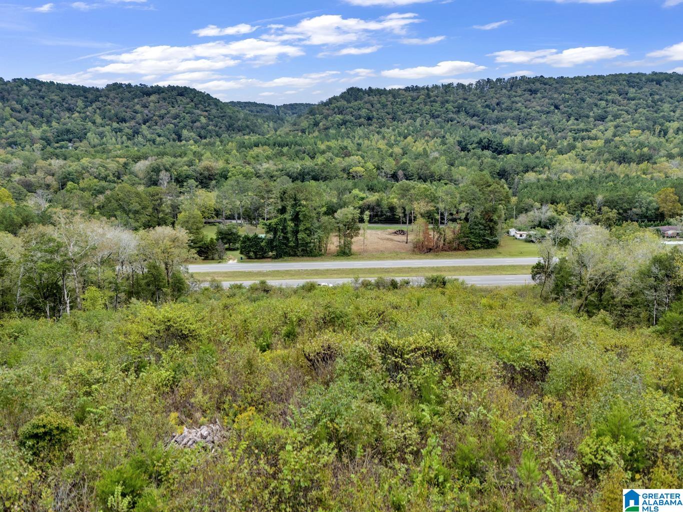 Homes for sale in Remlap, AL | 00 Hwy 75, Remlap, AL 35133 | MLS# 21433584