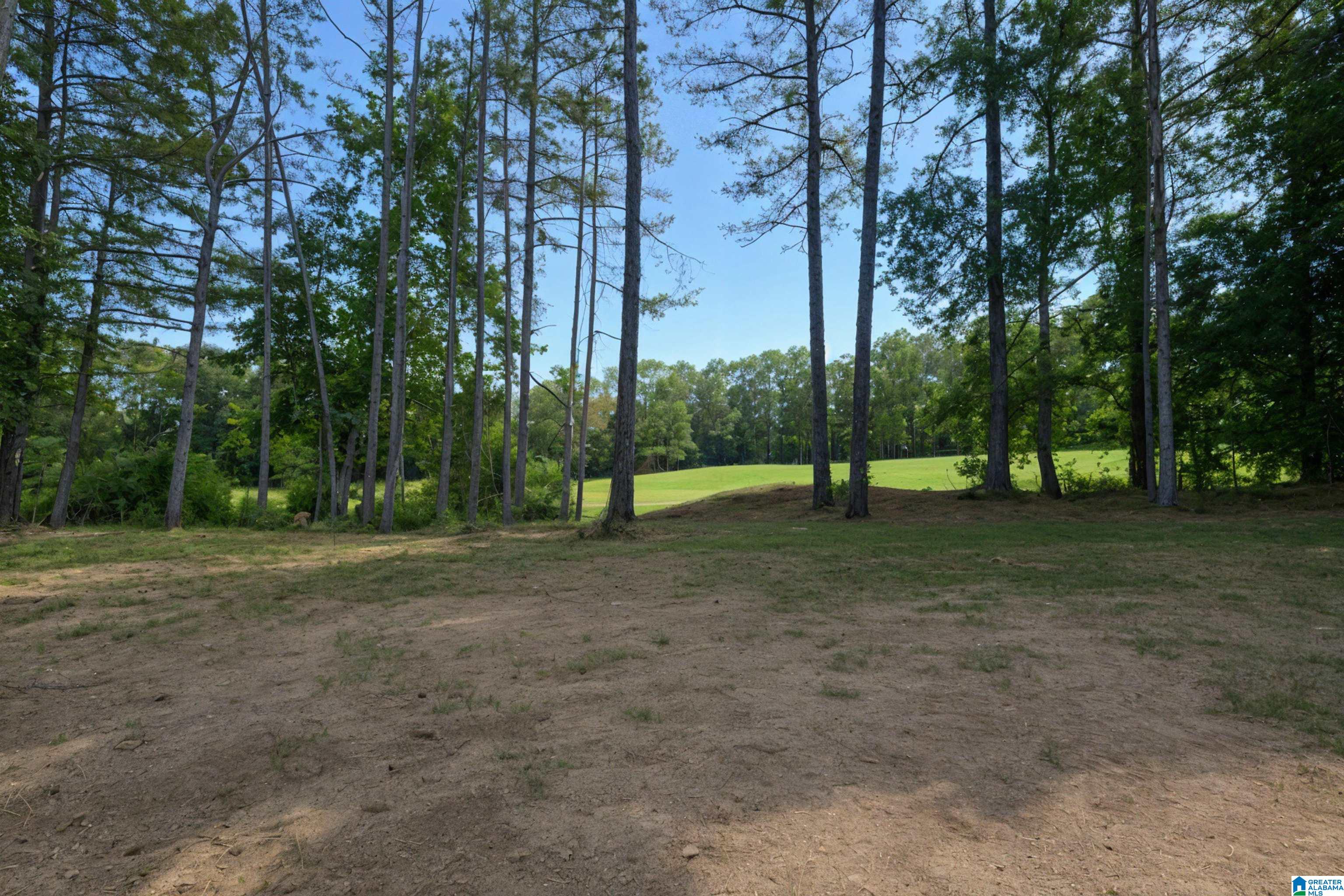 Homes for sale in Dora, AL | 852 Sellers Hollow Road, Dora, AL 35062 | MLS# 21433704