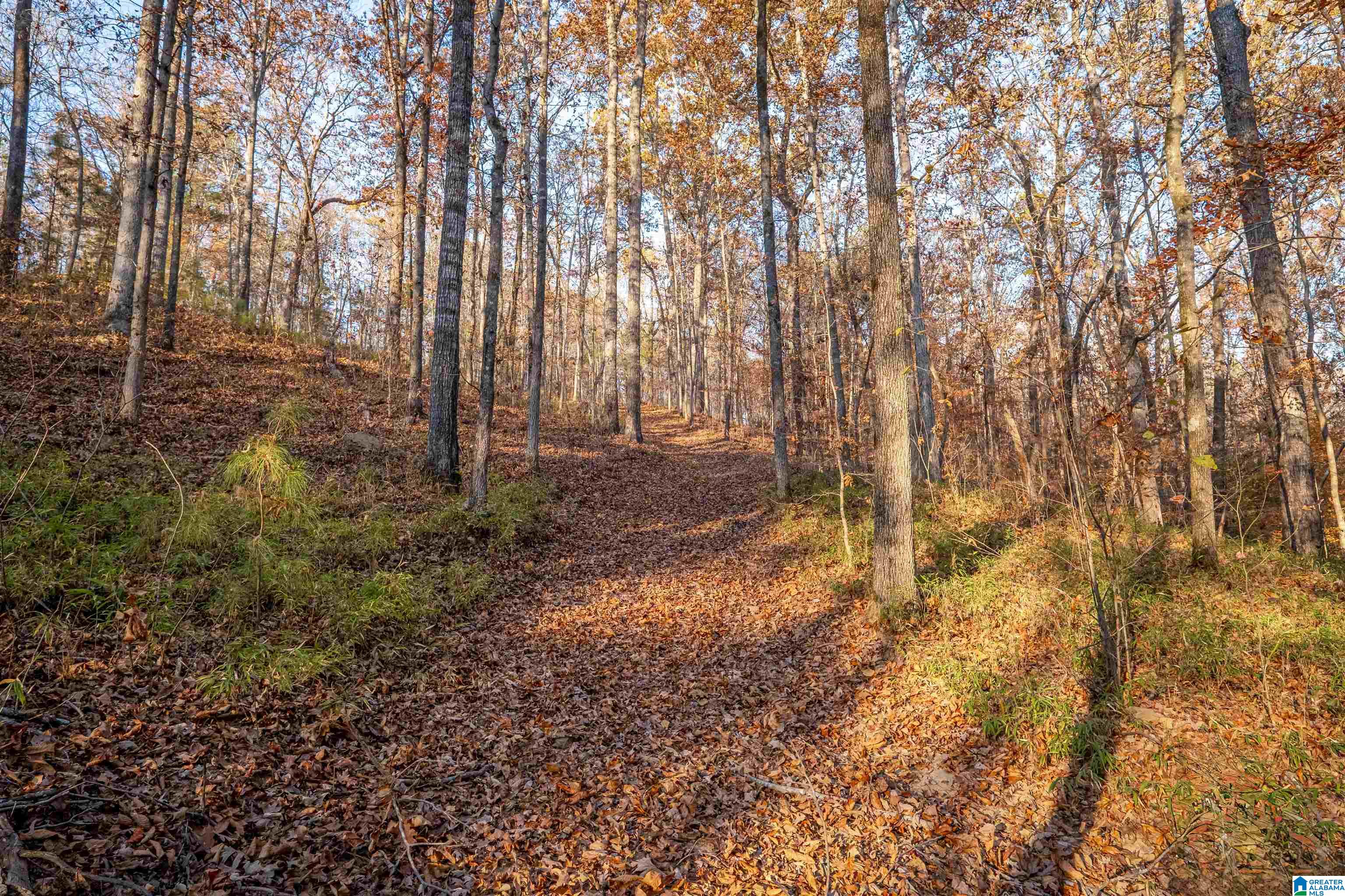 Homes for sale in Ohatchee, AL | 1595 Mohawk Cliff Road, Ohatchee, AL 36271 | MLS# 21433708